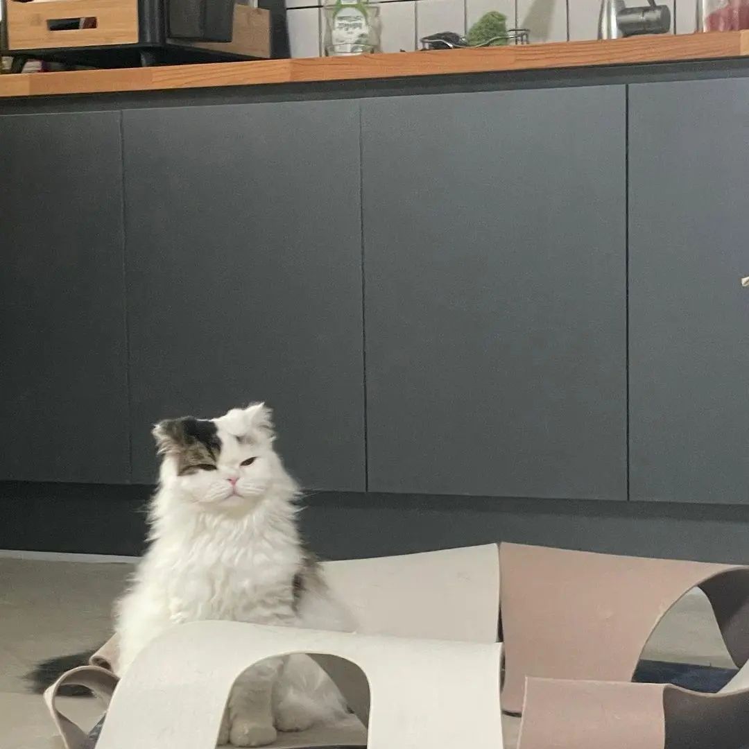 7e036d31d24ce60b6c58602e695adc73