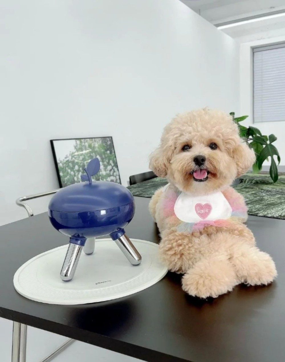 860be1a7c0ab6c191690927d2b6584c0