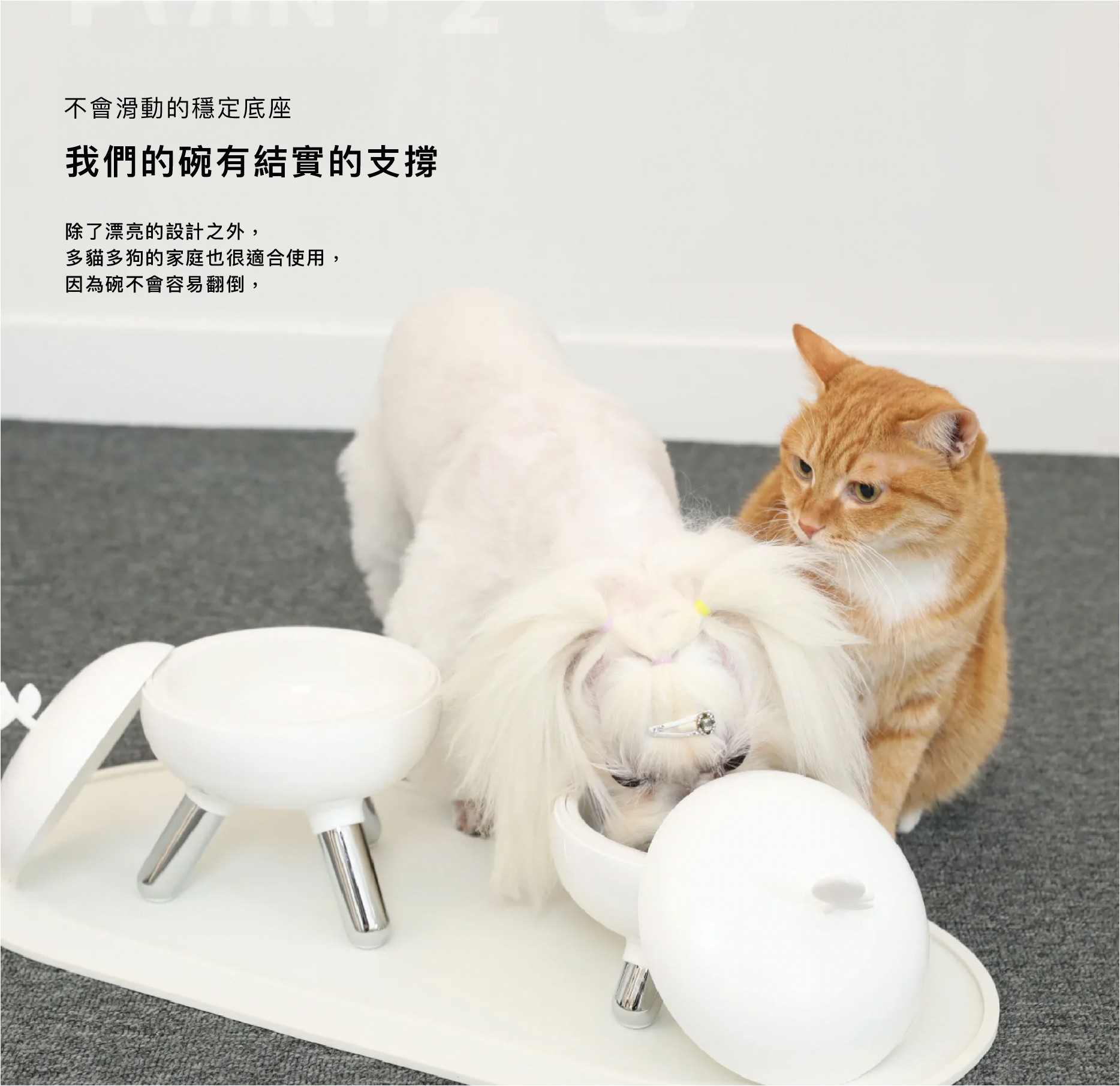 8d0e11db22e137b59fa24b2fbc61a5c8