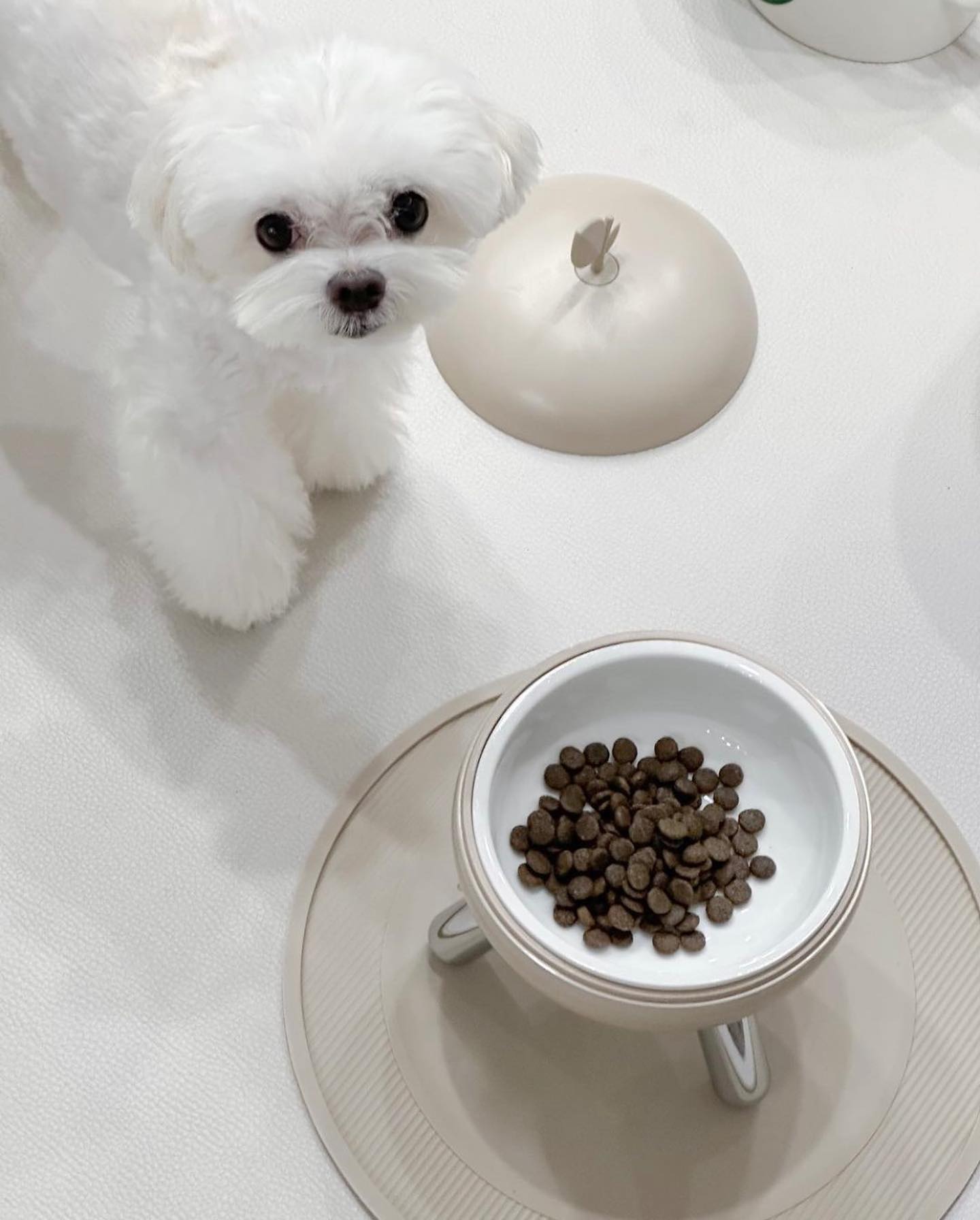 8d4c788d0a9a52c7ebf2e453ccdbd2fd