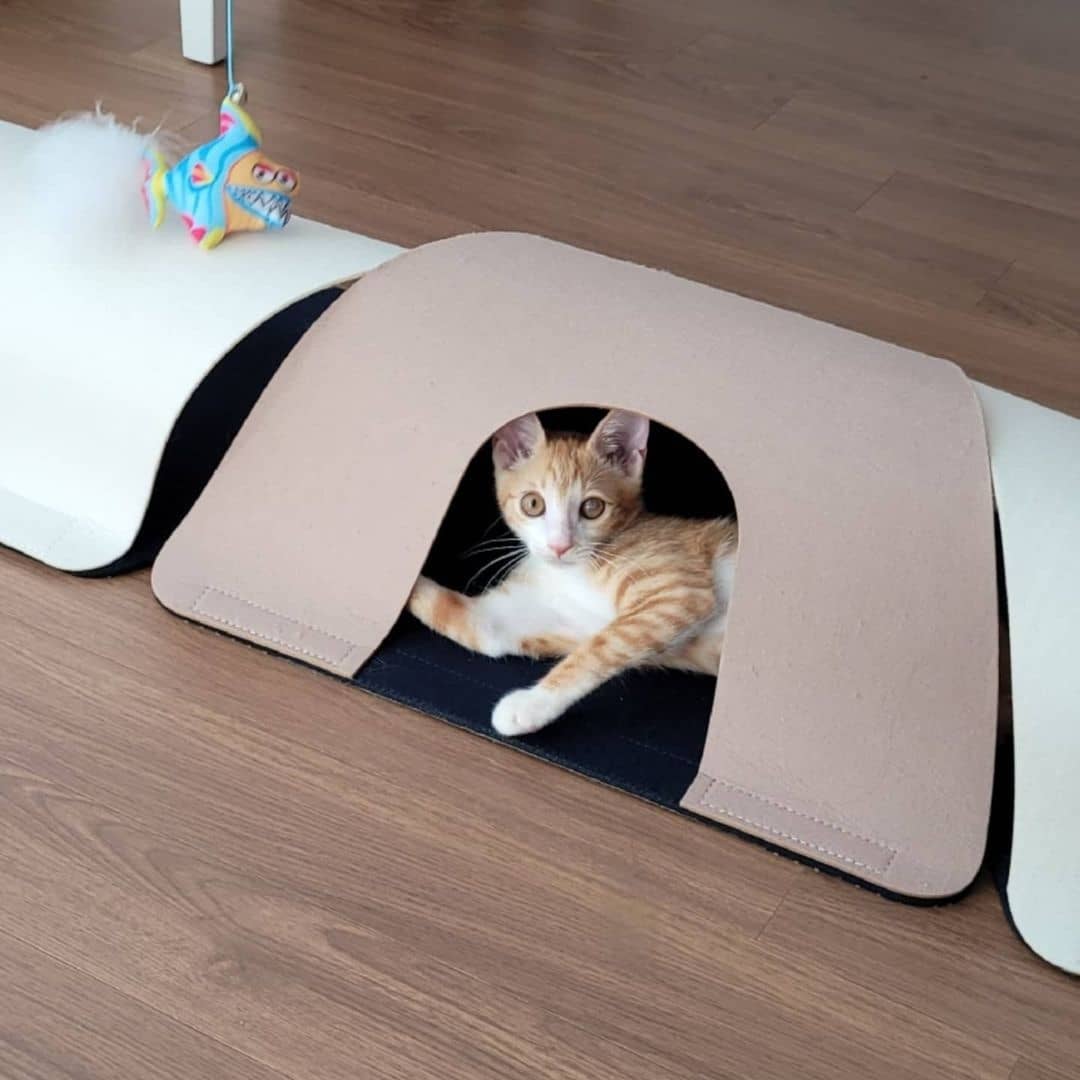 92074275416bfc4d73293db9dc1e8f62