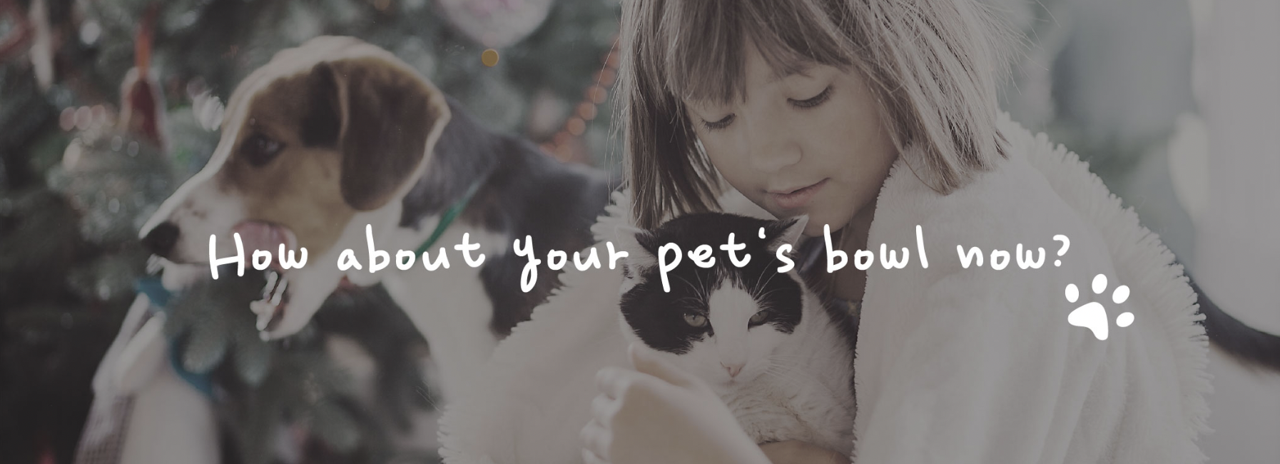 9800f52d9e0b4119c53d48ddc966f3cb