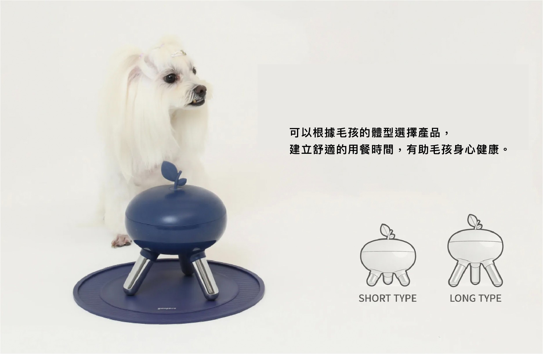 98bbb9bc83a62815c2841a048e5324a7