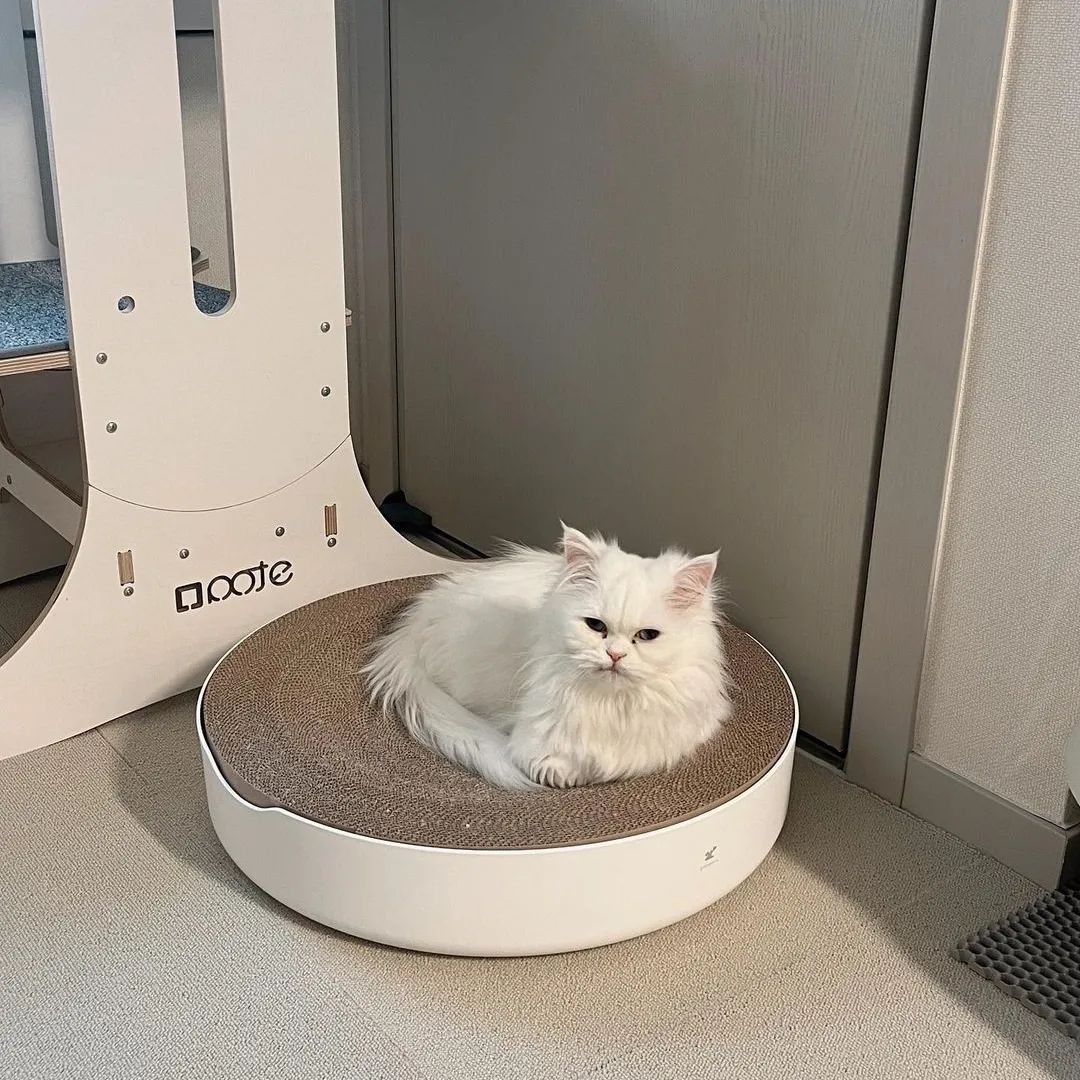 a42d75428bb8f2adb310af77aeed40a0