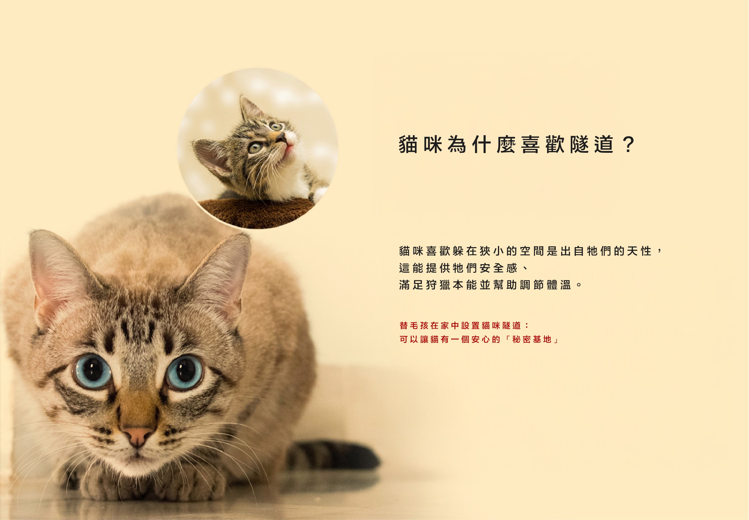 a99b367630a24ebd25990bf58aa034d7