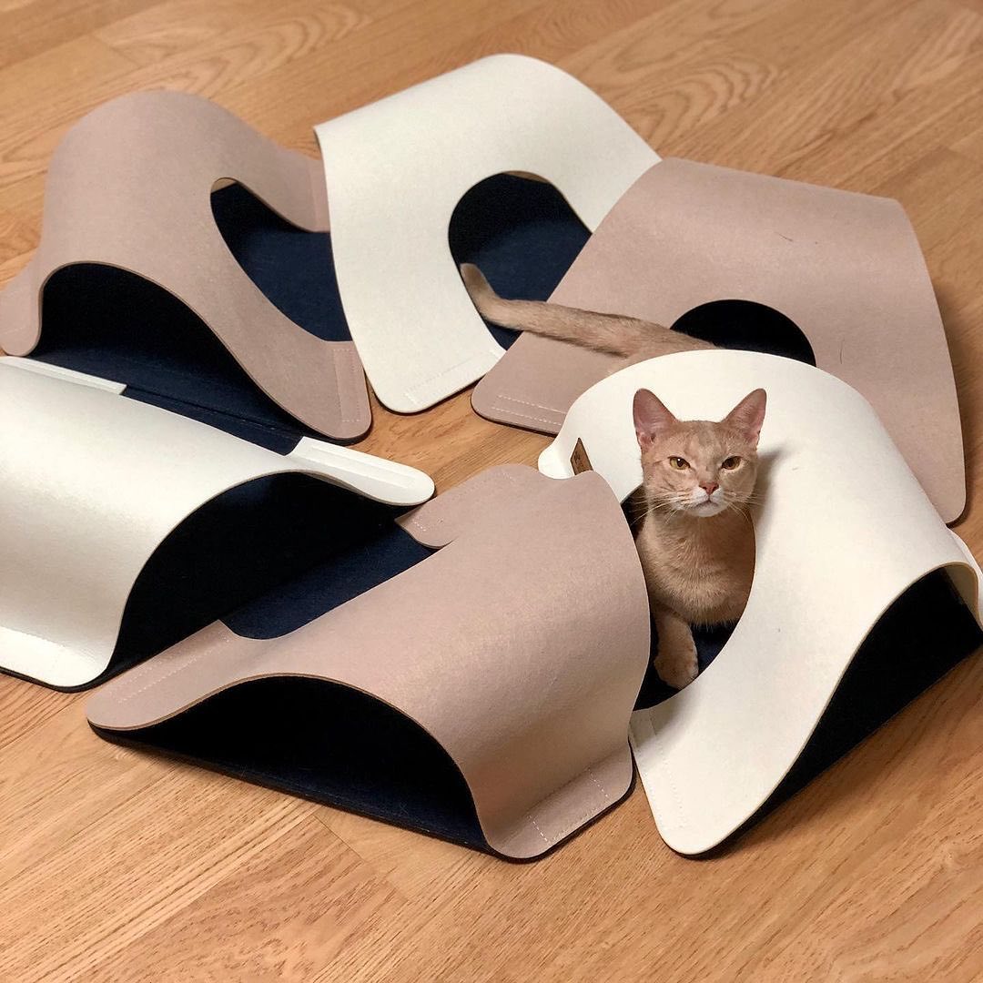 aa8b9ee0668d44c397a5f55ed64b9e2f