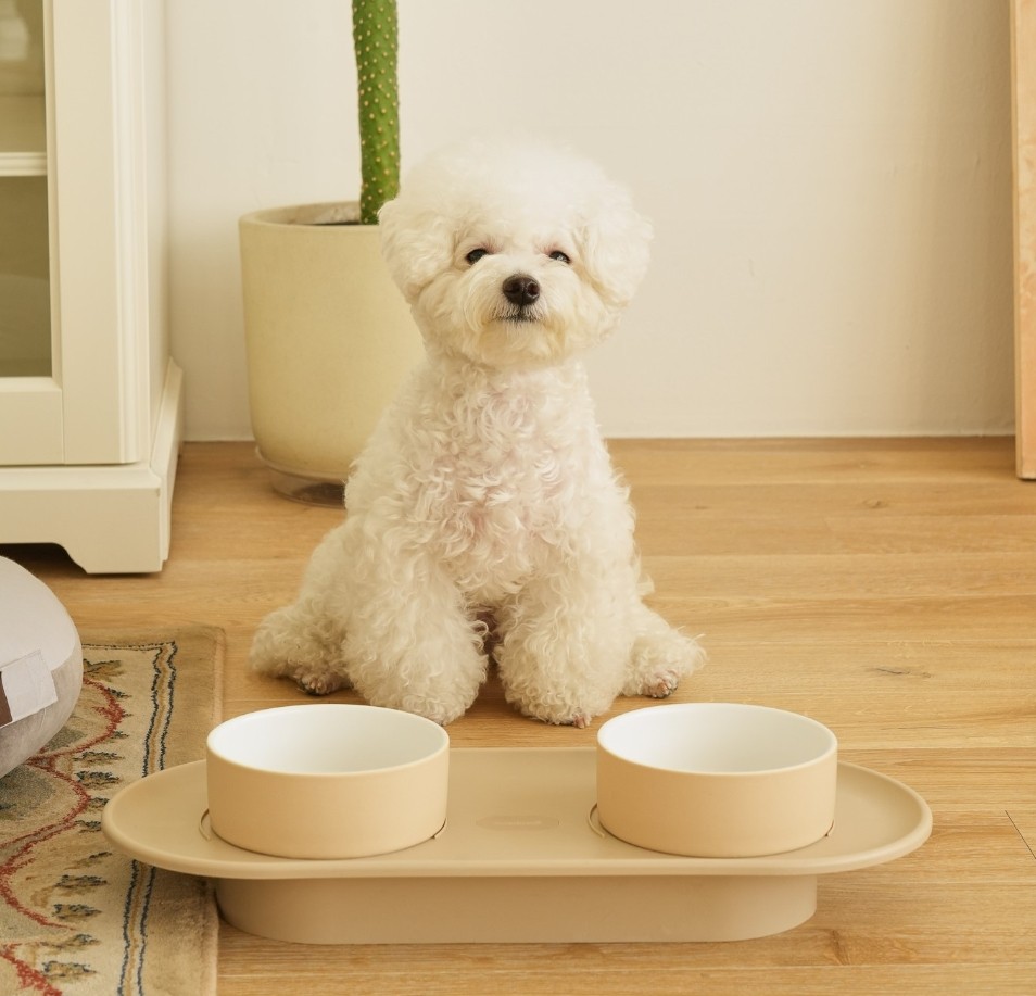 ad52aa0e1cdaebc5c4fcd1b6e31b0863