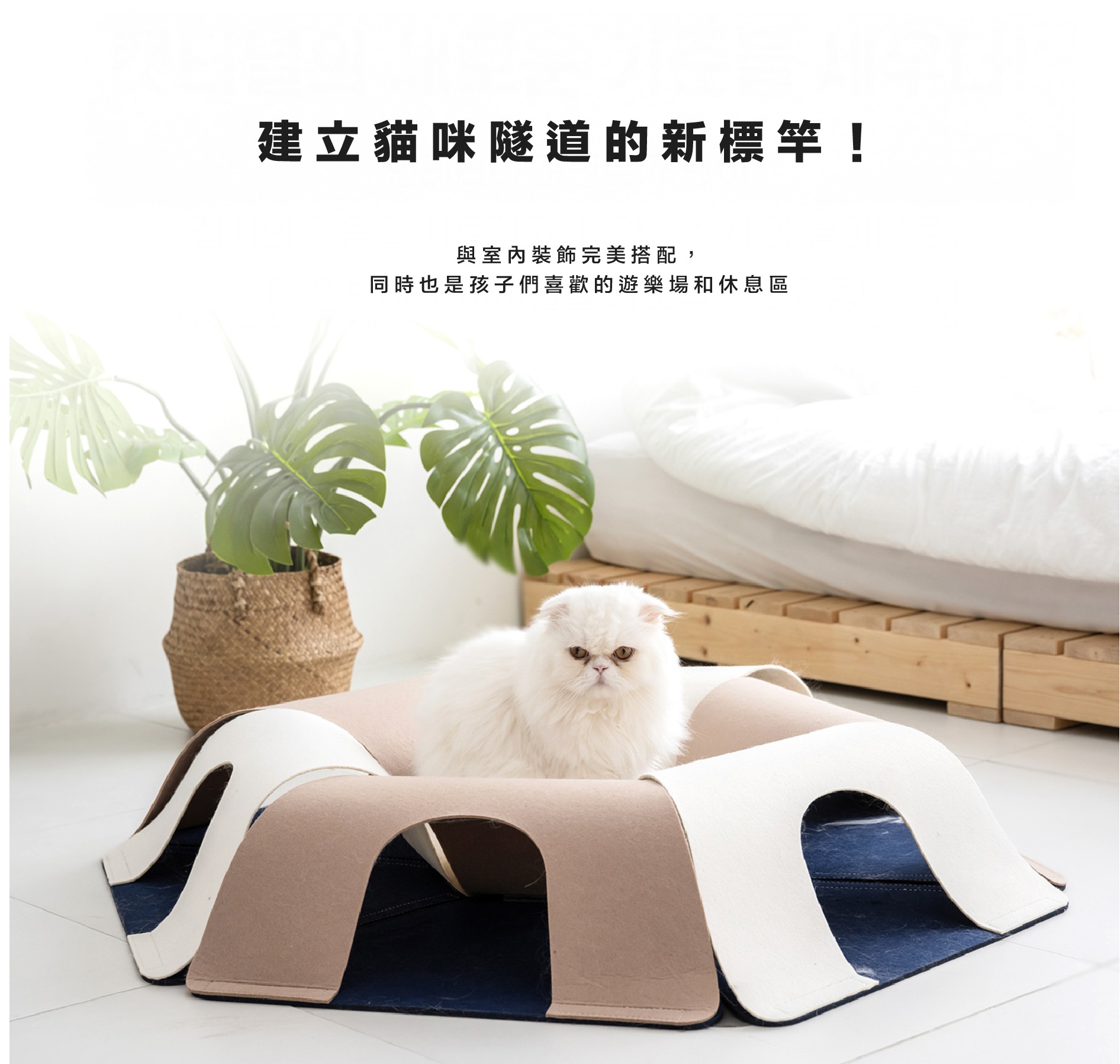 b39263f2aa1d4ea03241cf5279be0df2