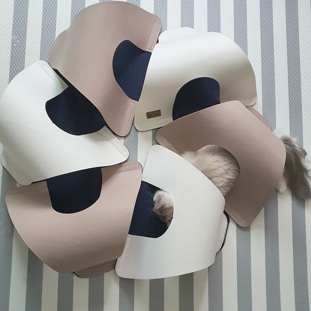 b8ca9901402c3c1d764142ca1f358f8b