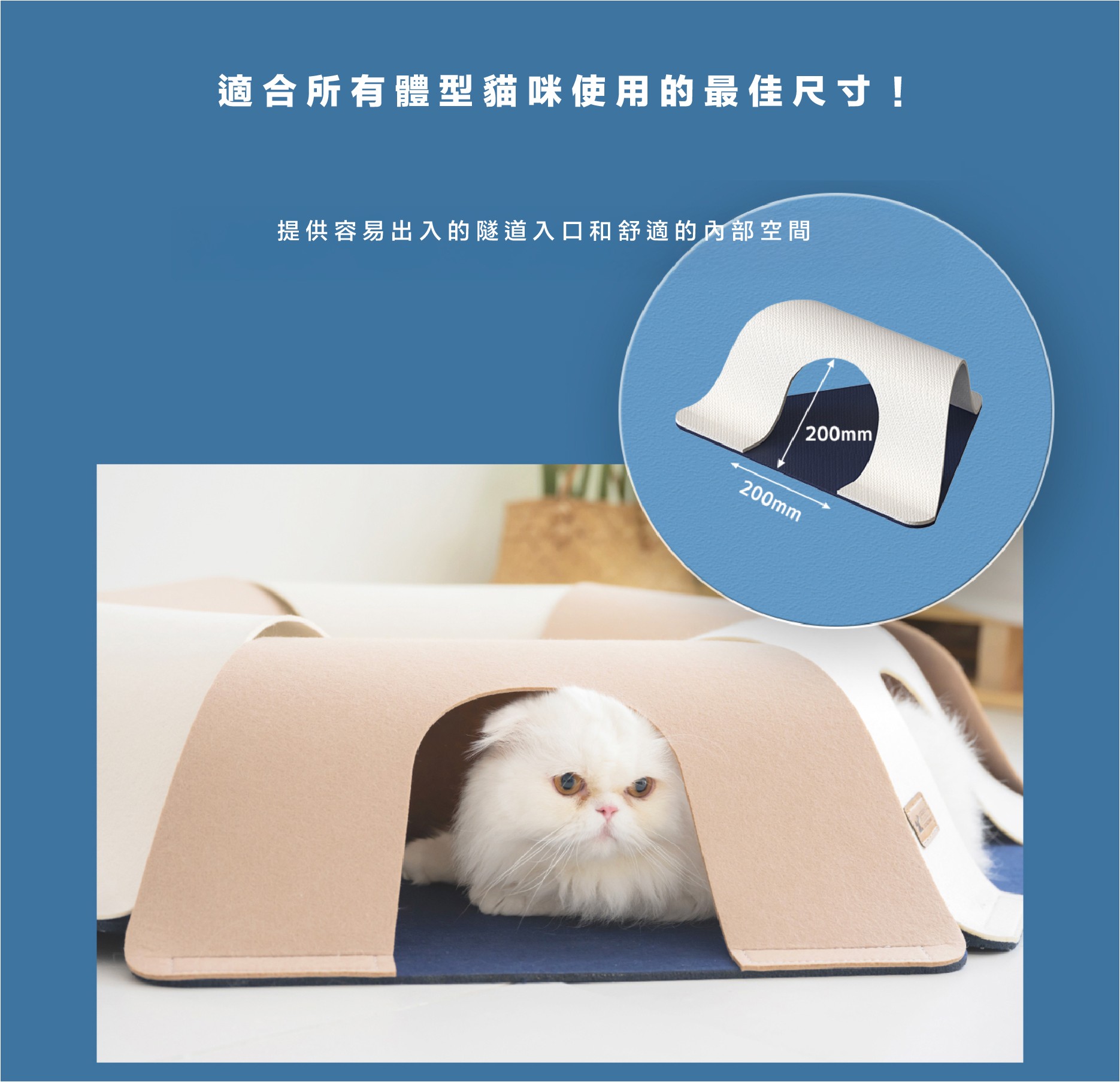 c4007d564510e84e37530d8e6c3f60e9