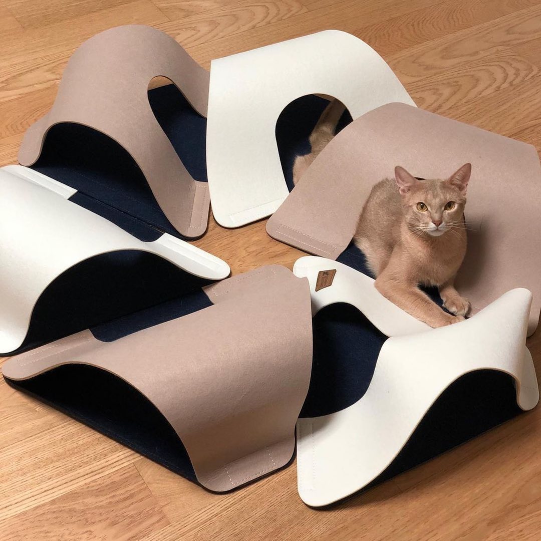 cb4a87dbd03b5e281e36021bc5624383