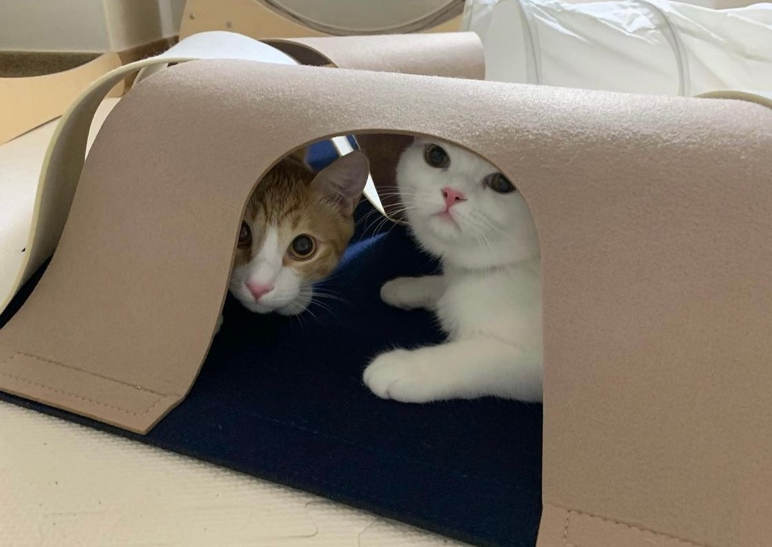 d130414d02f35f1408c9a3f56f209b17