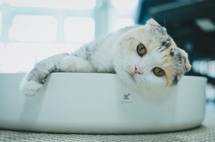 de2c383f7cad19cfffb7b632f8988ea1