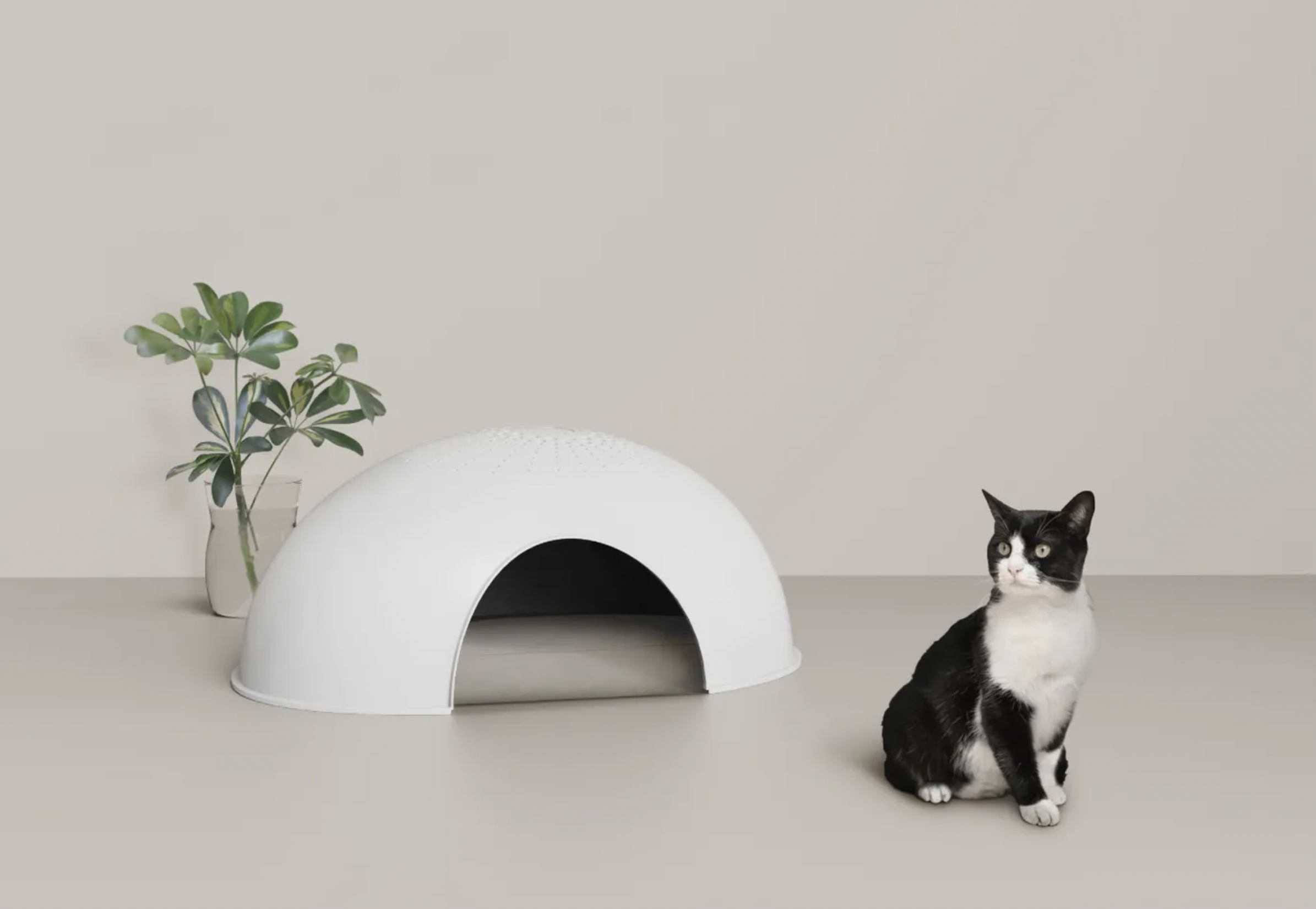 dee630e80efdbe5e1ff2f17cbbc97891