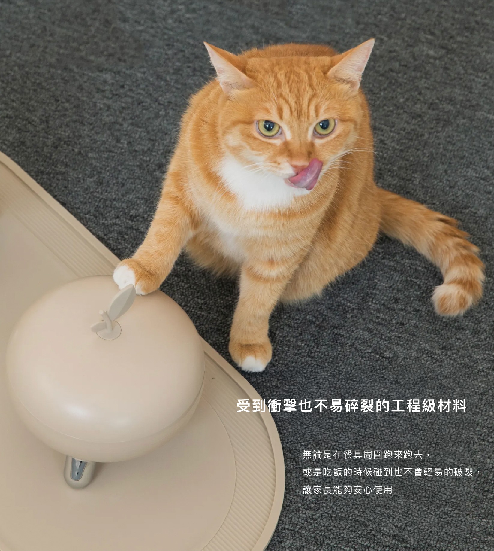 e11ceb7456869ba02b6f602bf5896756