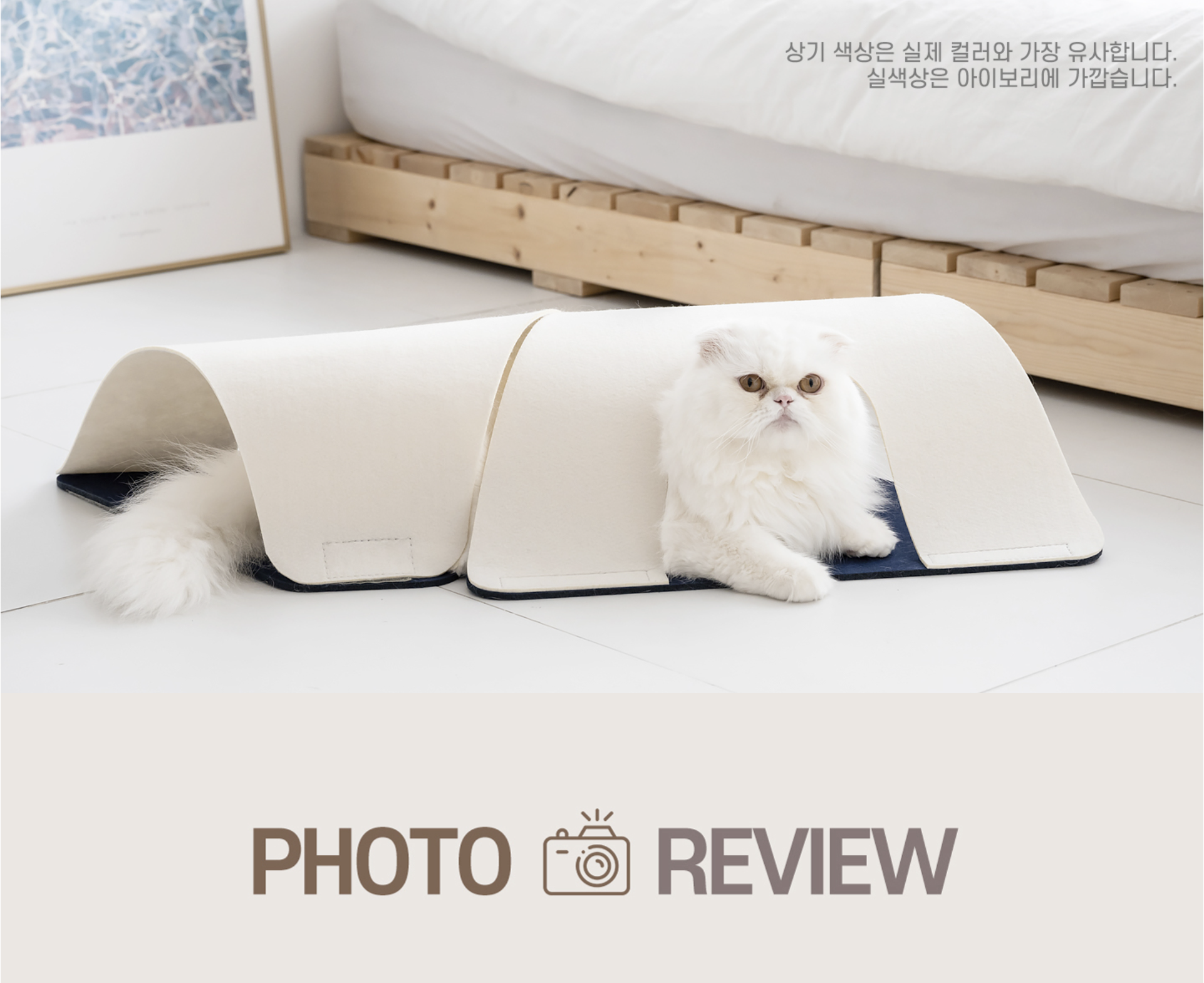 e8e17a16b3d07ee517fea3a1bc65d0d4