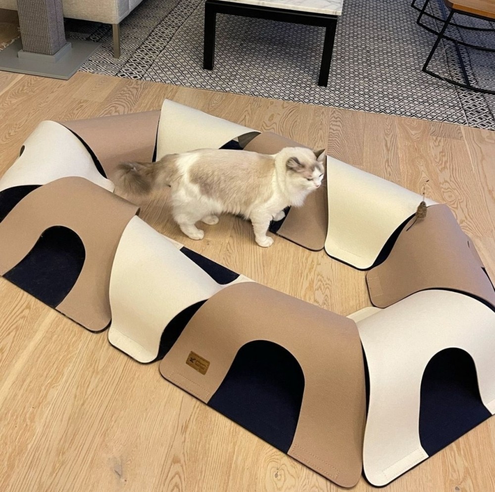 eb64f970fa84952b07b7c10d428b1fb7