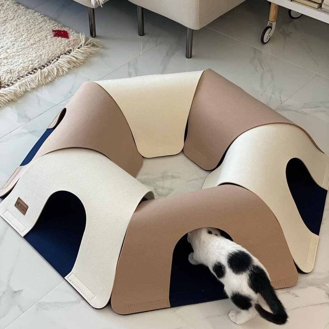 ed44bde016cf106512b1bb1b4c6e5c1e