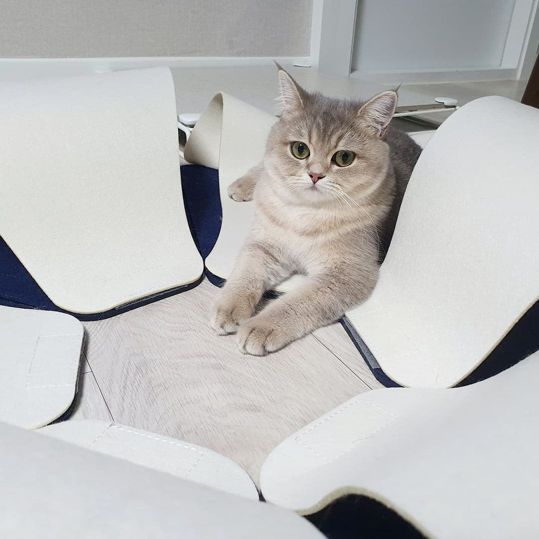 ee2dda72b280c02d5b386a2e1f756453