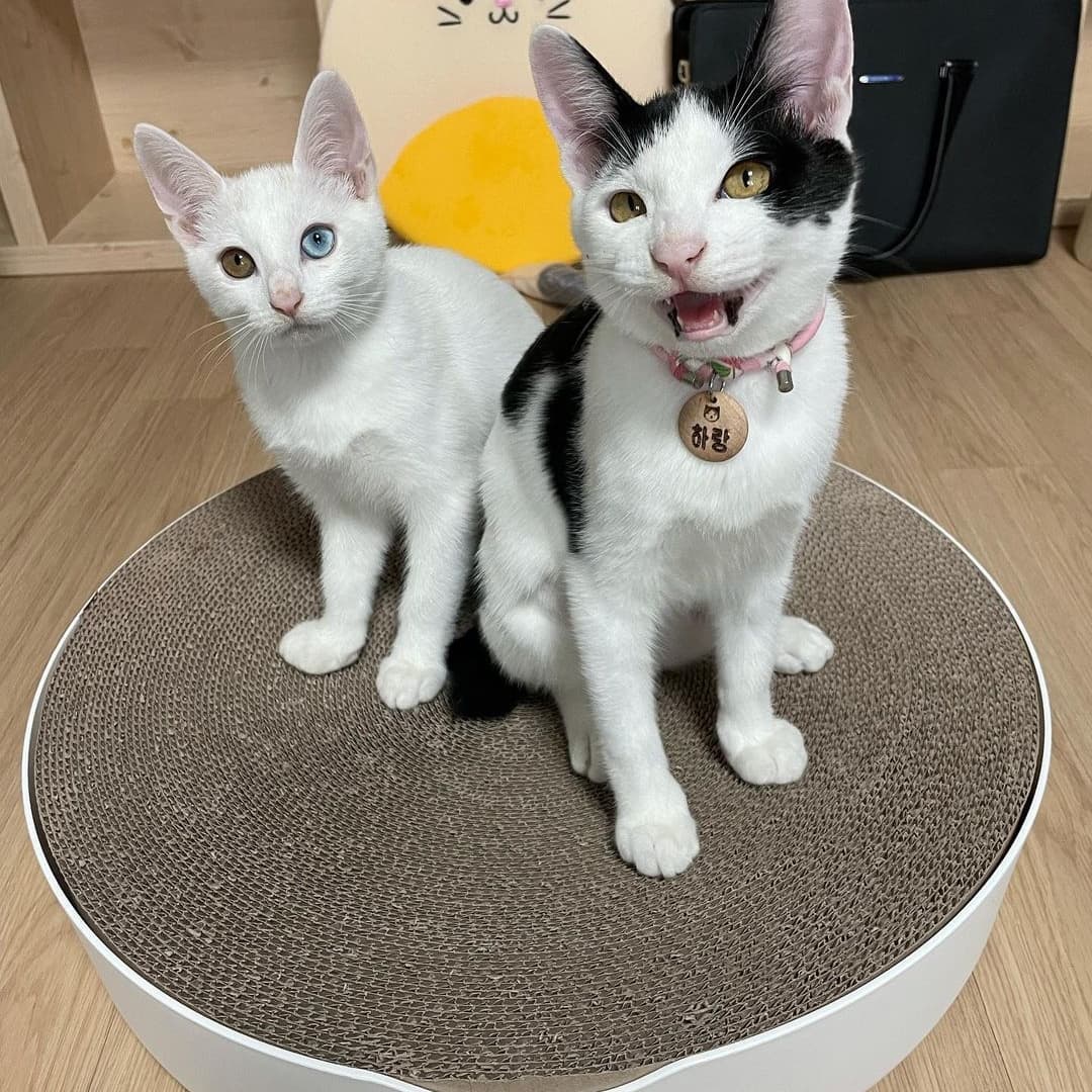 f3440342a0c06b96c53ef943abd8f6f1