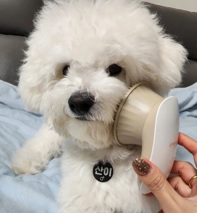 f8de05ba5d2d0120fc707fff970eb96d