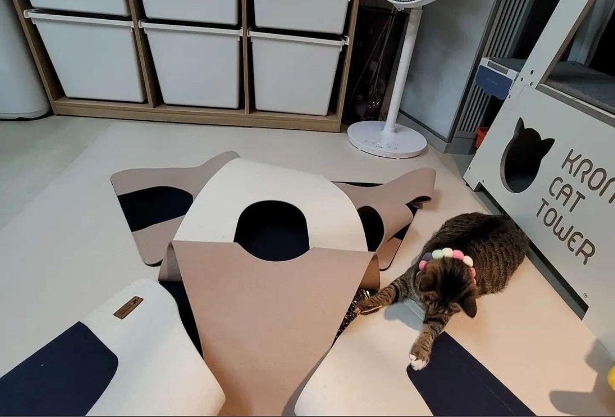 fe2ebae09fd920f689f7e1ce1259ec70