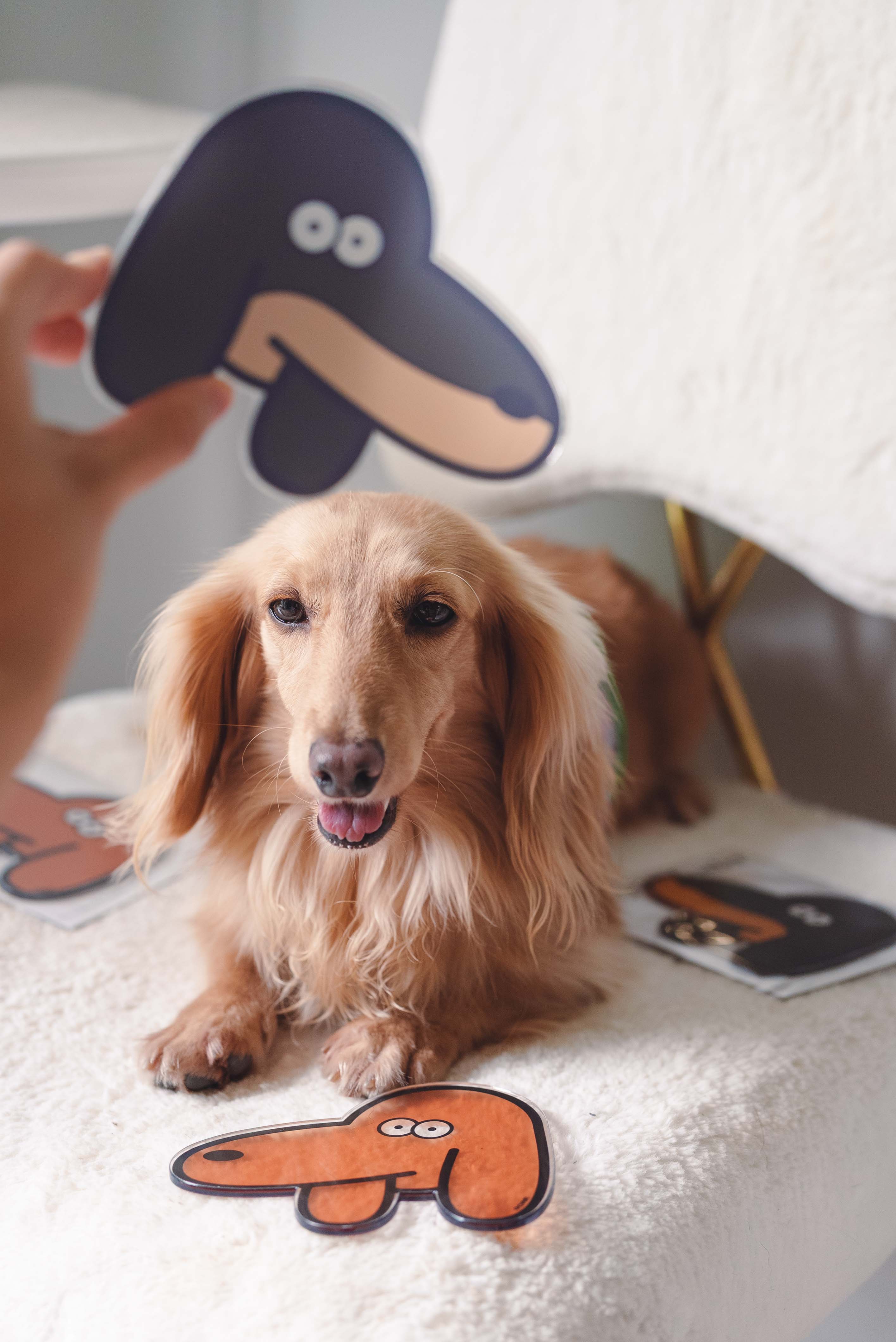 072c00bd70251c9e7cfa3db9b4418da2