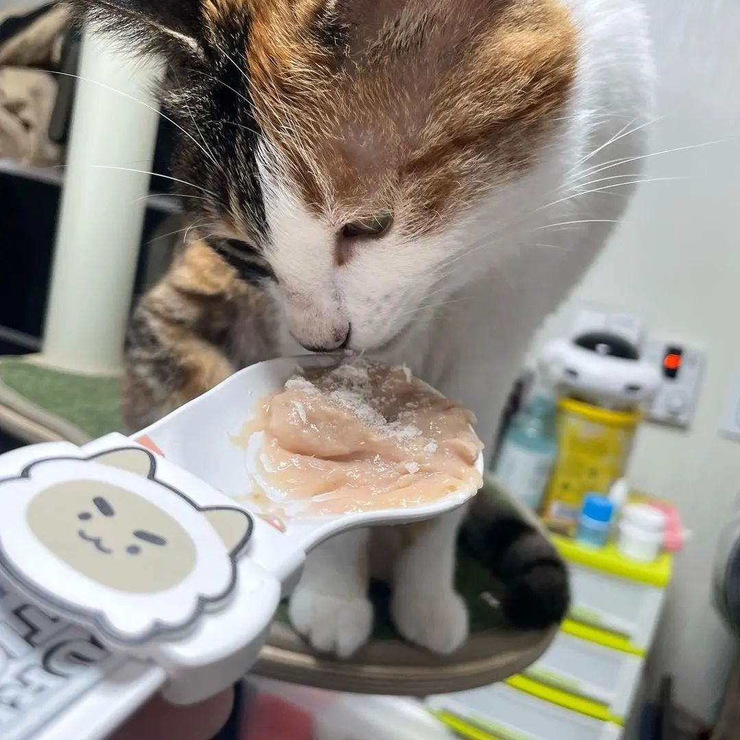 12deb4ed766582660cd60e8cdf4d77bf