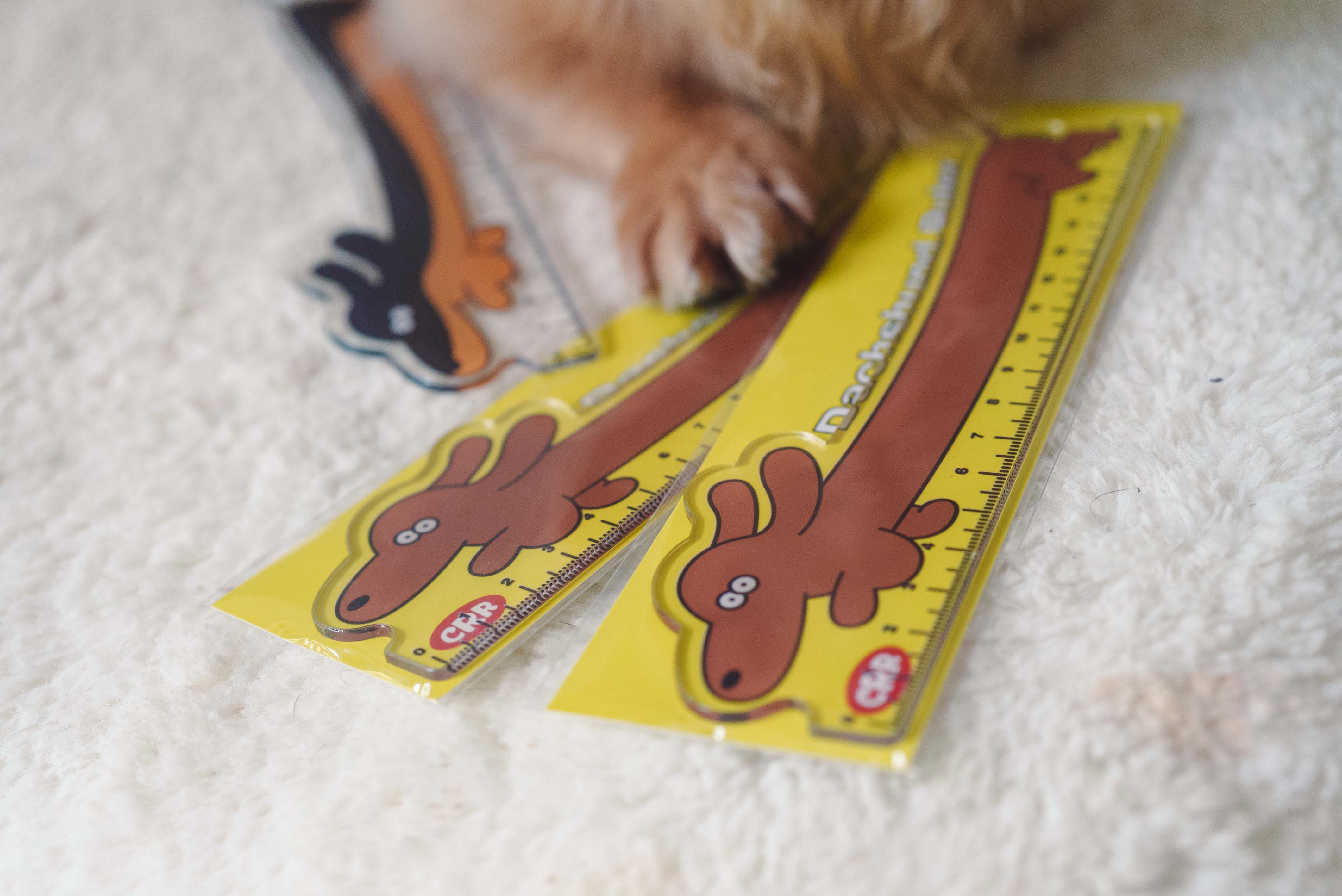 15e98b451beed97f881530c57292a2e7