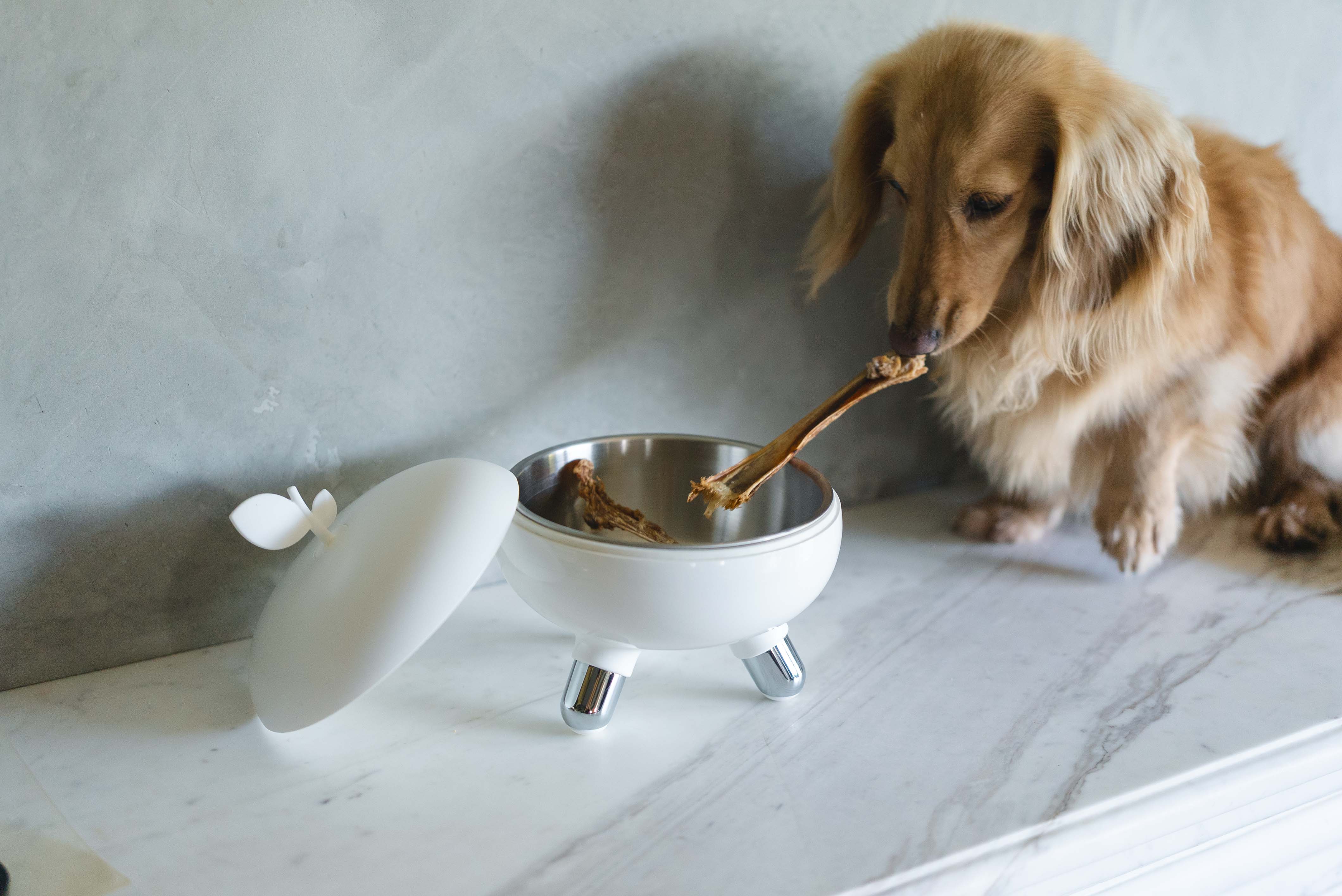 19e84939869b086993cd9c513948eb2c