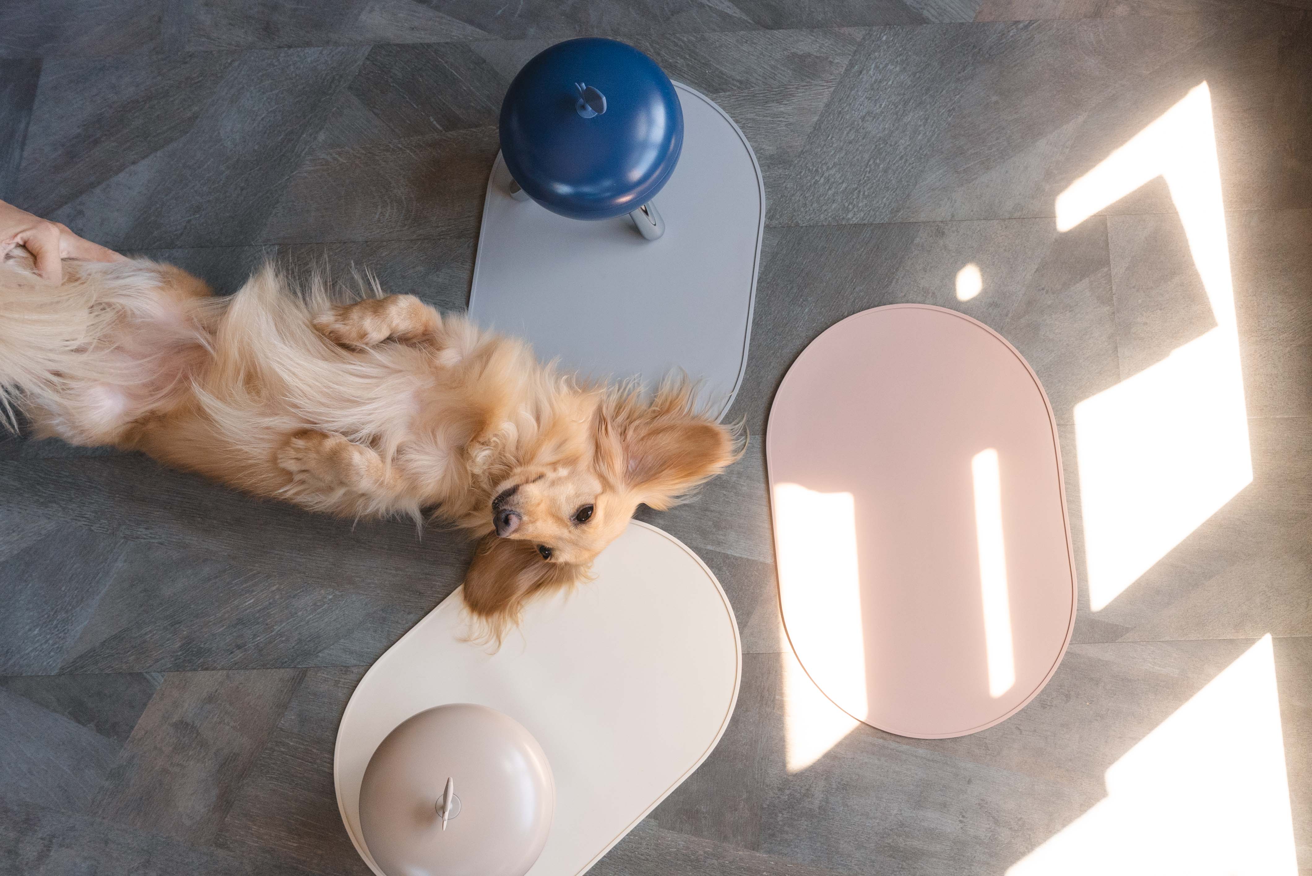 31a88b544028275d0d7f5eed3a90b22b