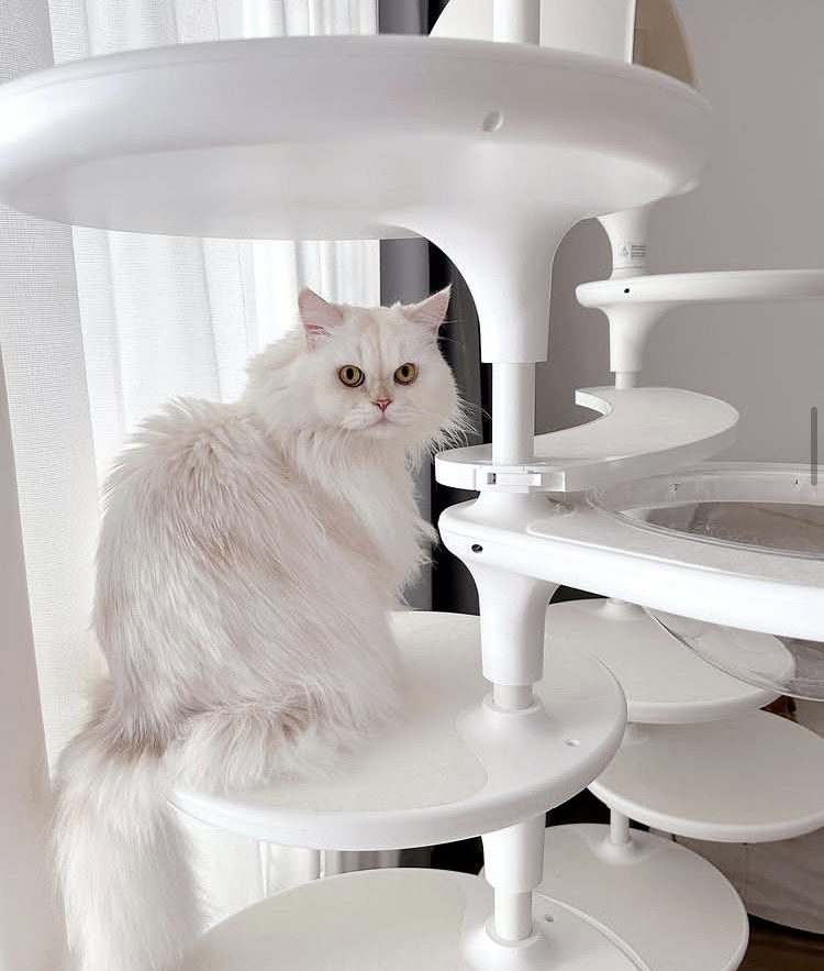 362f2e8c68cce4008d0d1ec0dbf4108c