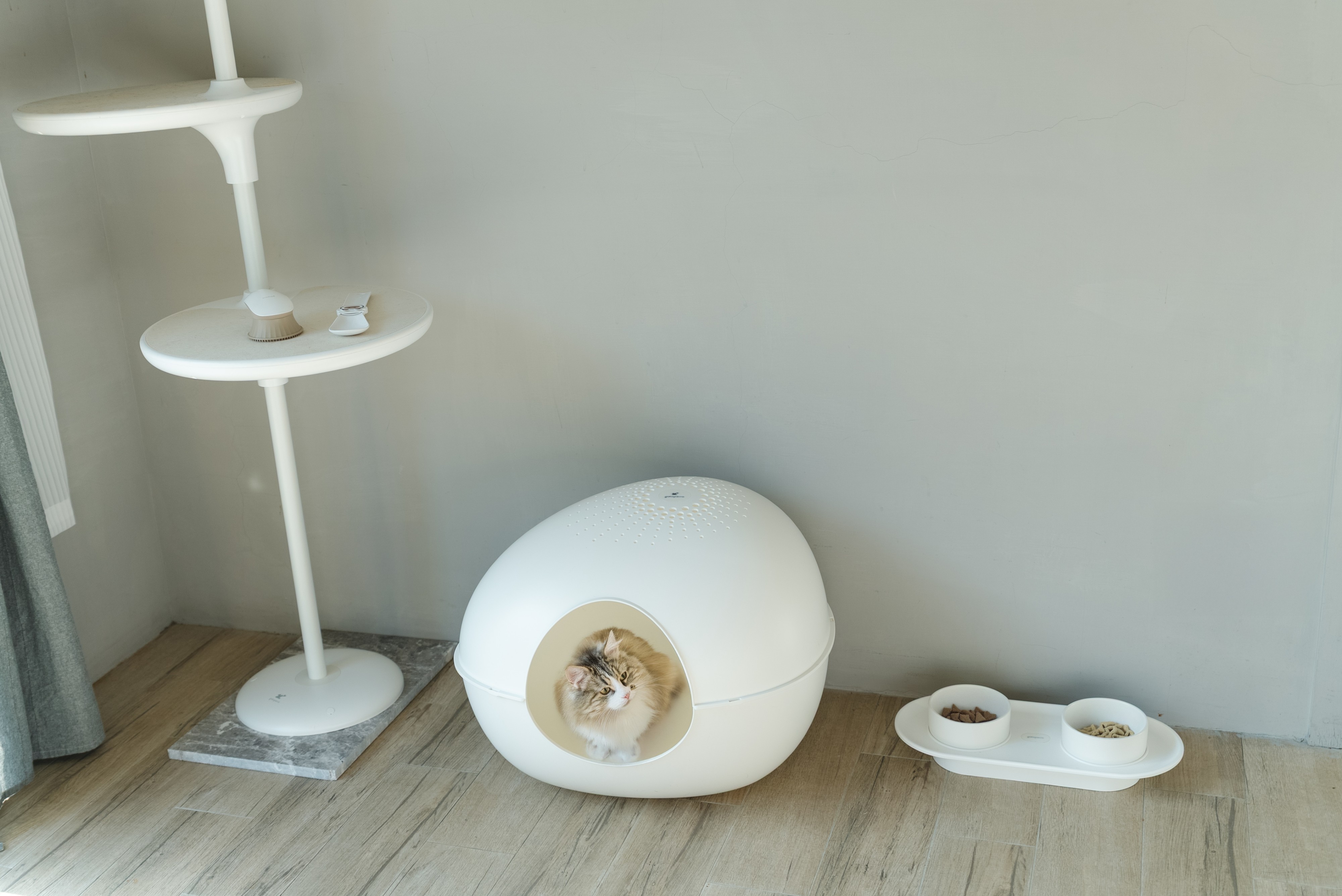 4da76a333ef7611777c50992d8c61d9a