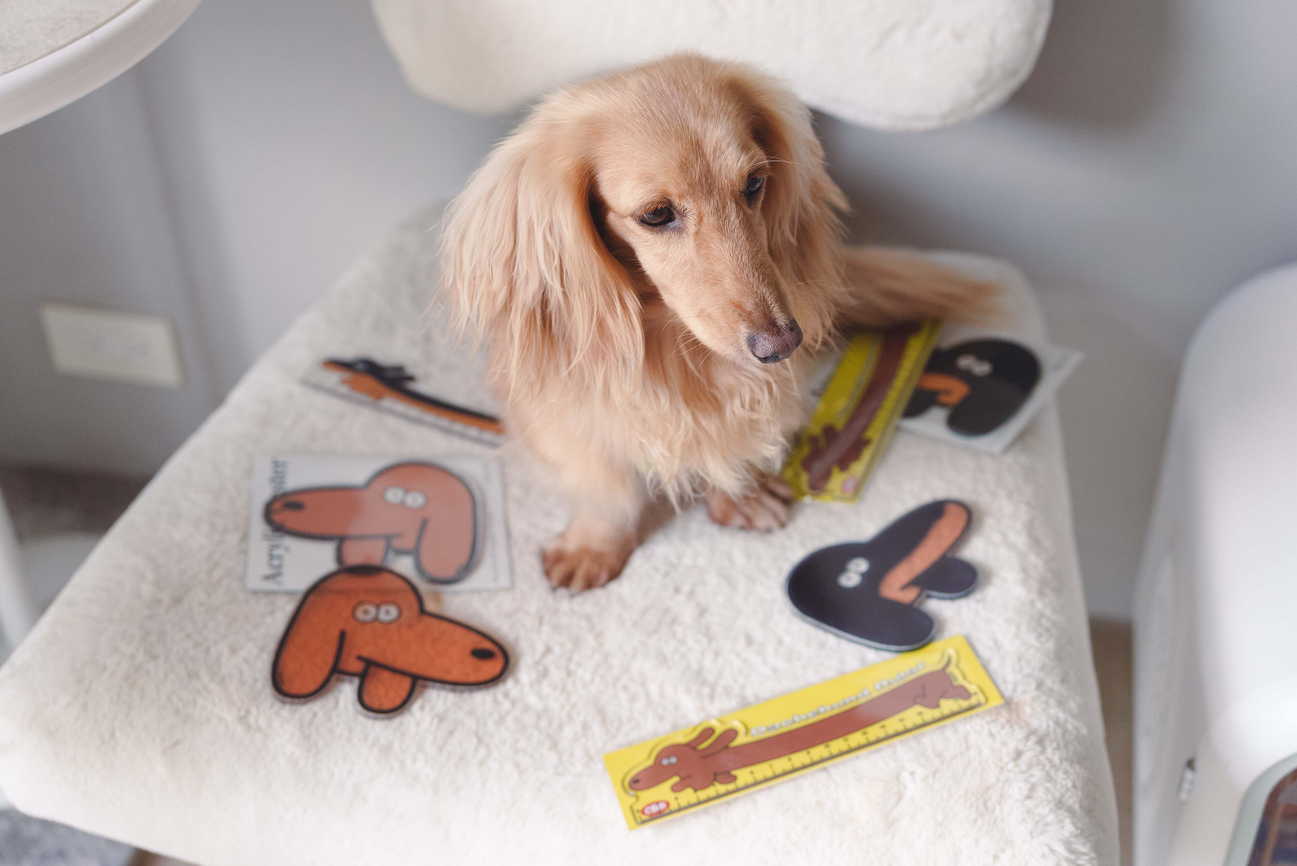 703b5501bd9509265793b01fe38d8792