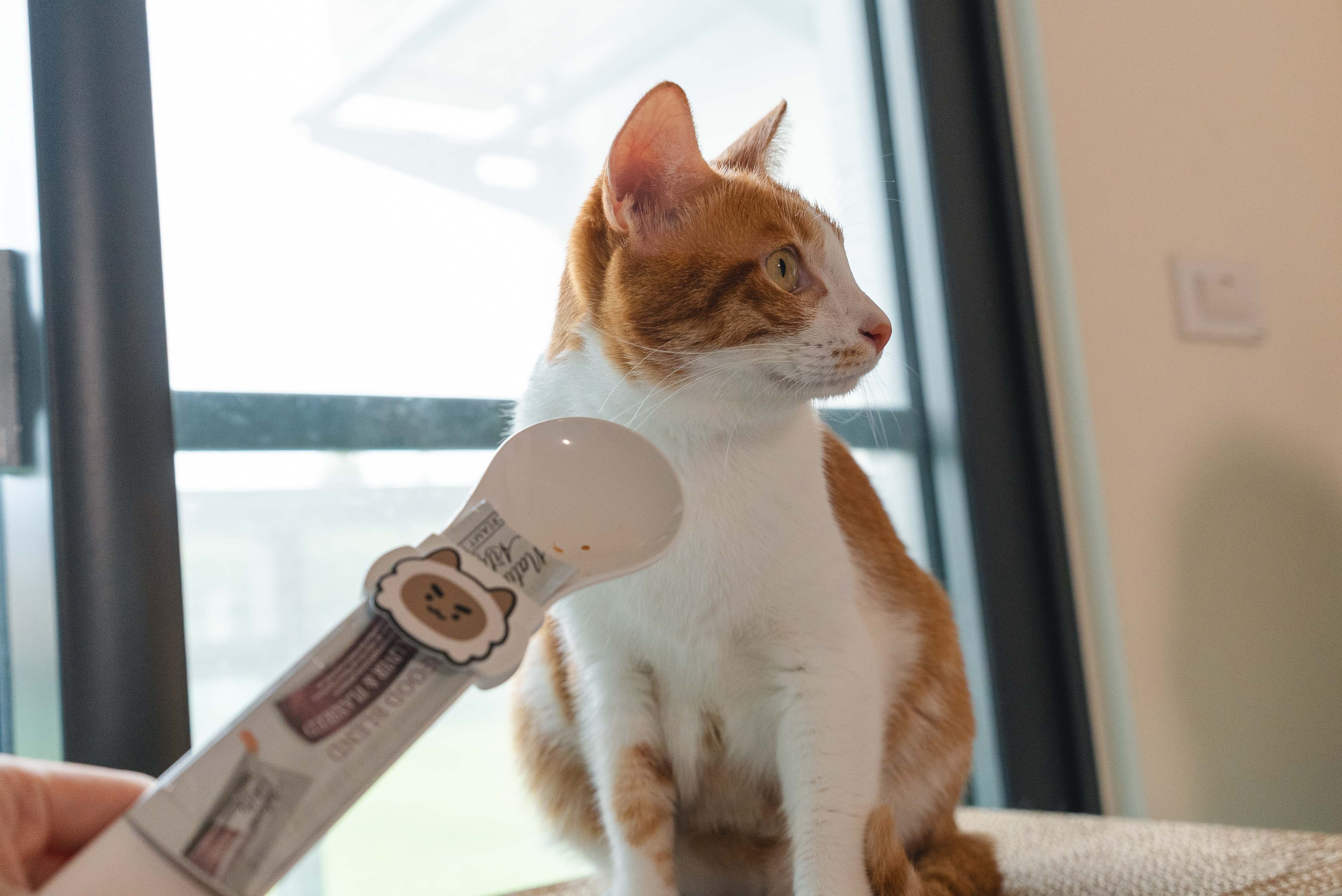 7e30cd16cdc3a466f78cc3d02cee88de