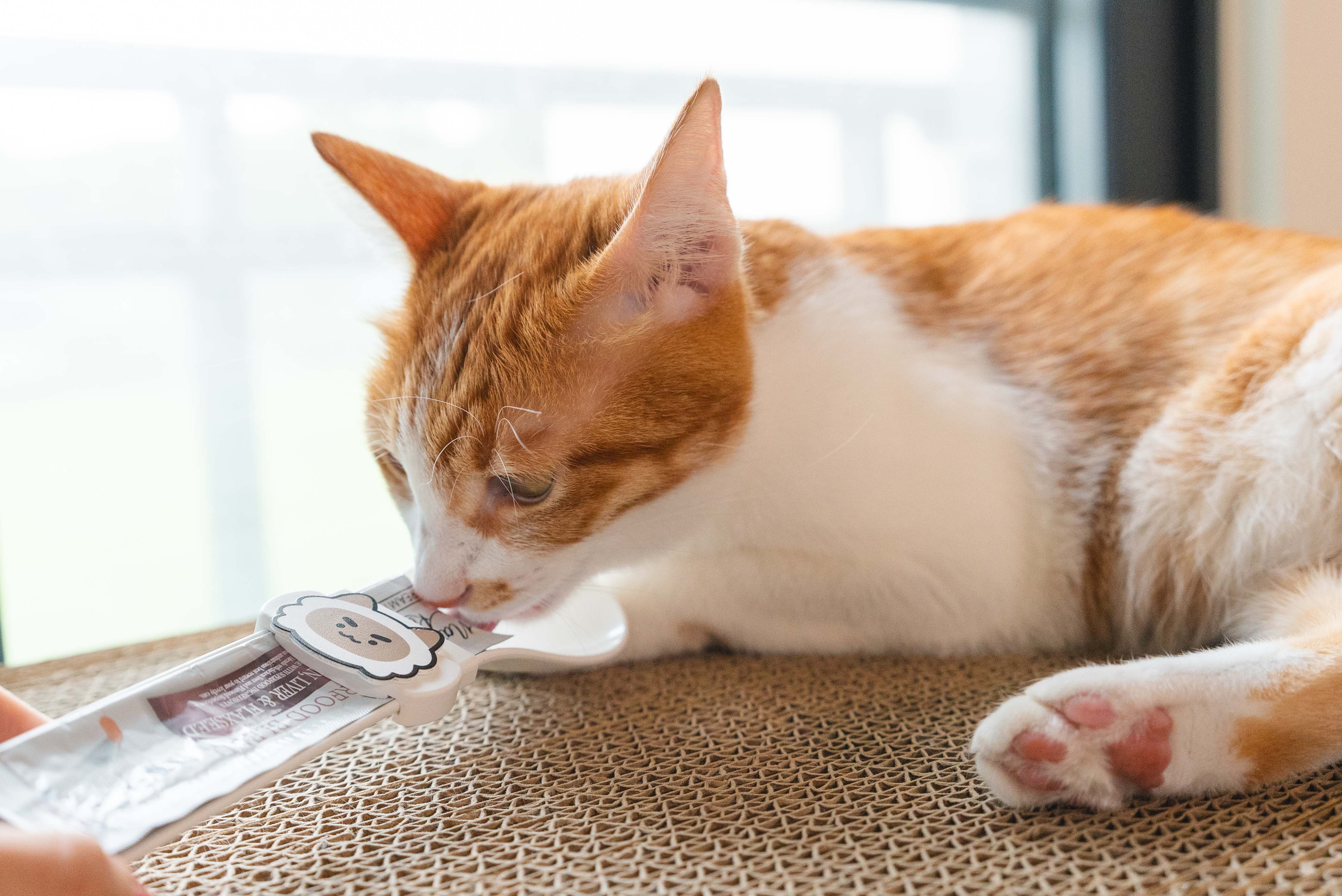 8755c16cbcd34c0234c87f72ab3ab49b