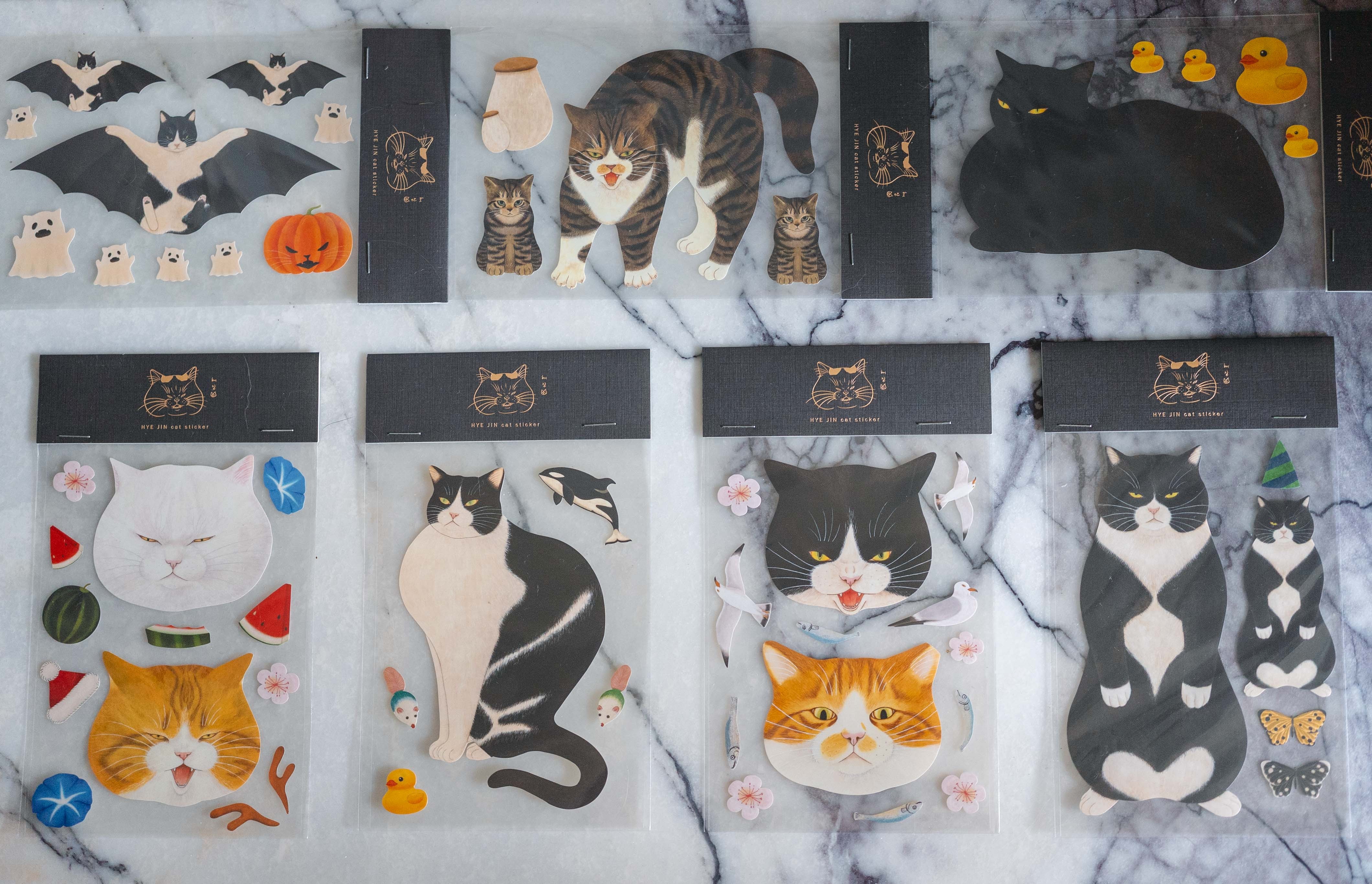 8db57a046f55f9cda66d968d47d7f84d