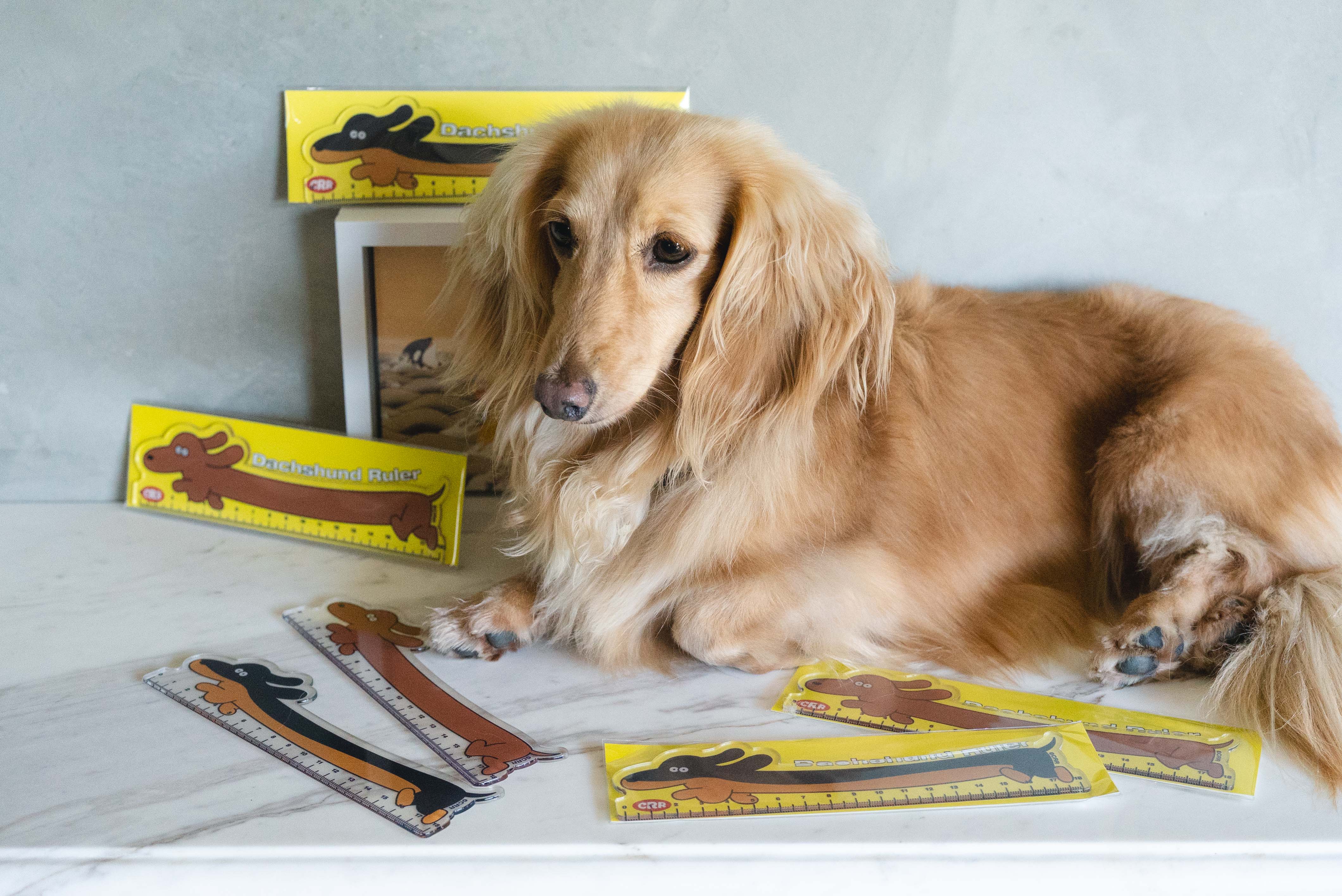 9920d139c2a8694a7e434bf7293c3232