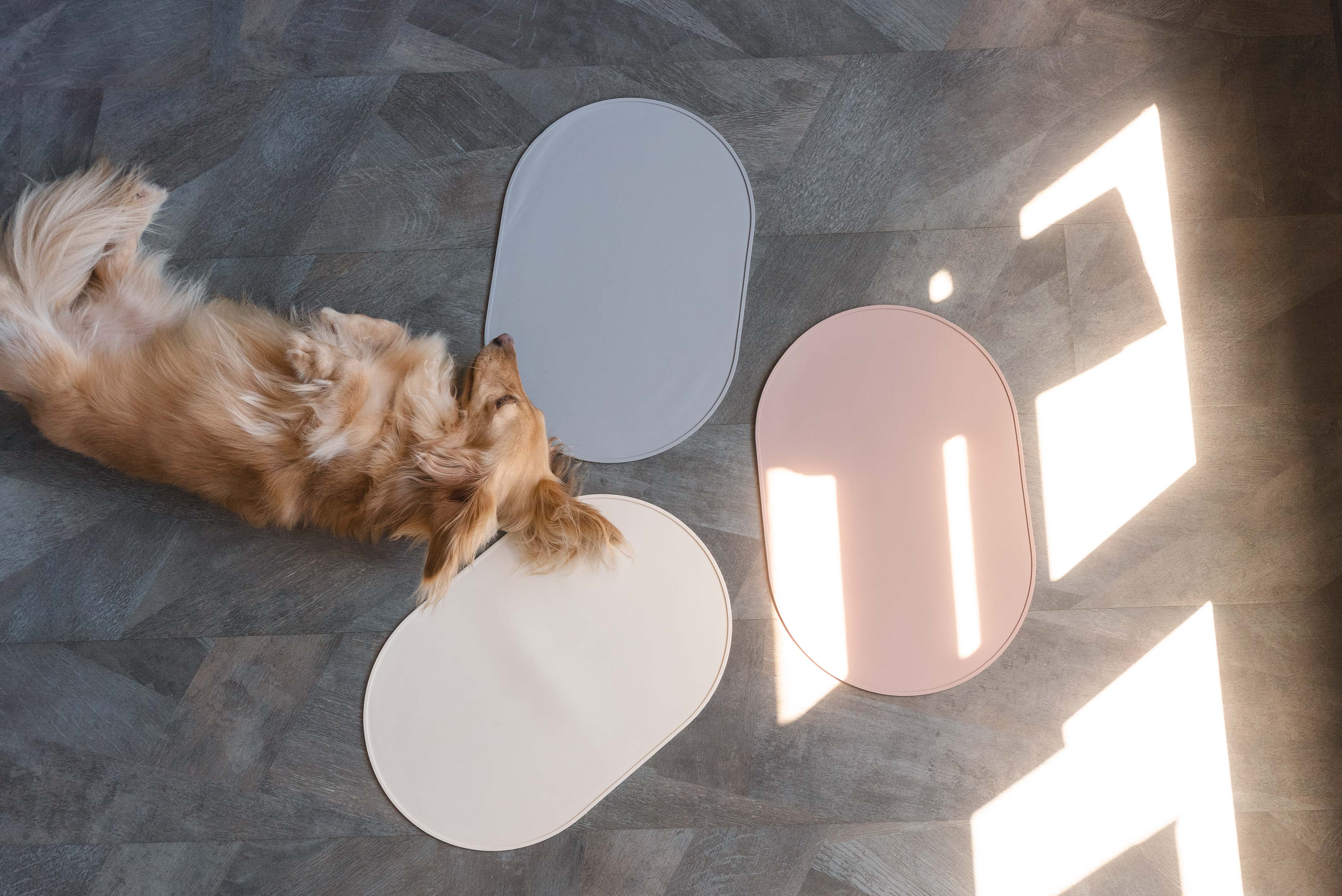 a26406dc24f00688f8f21a9494ceede1