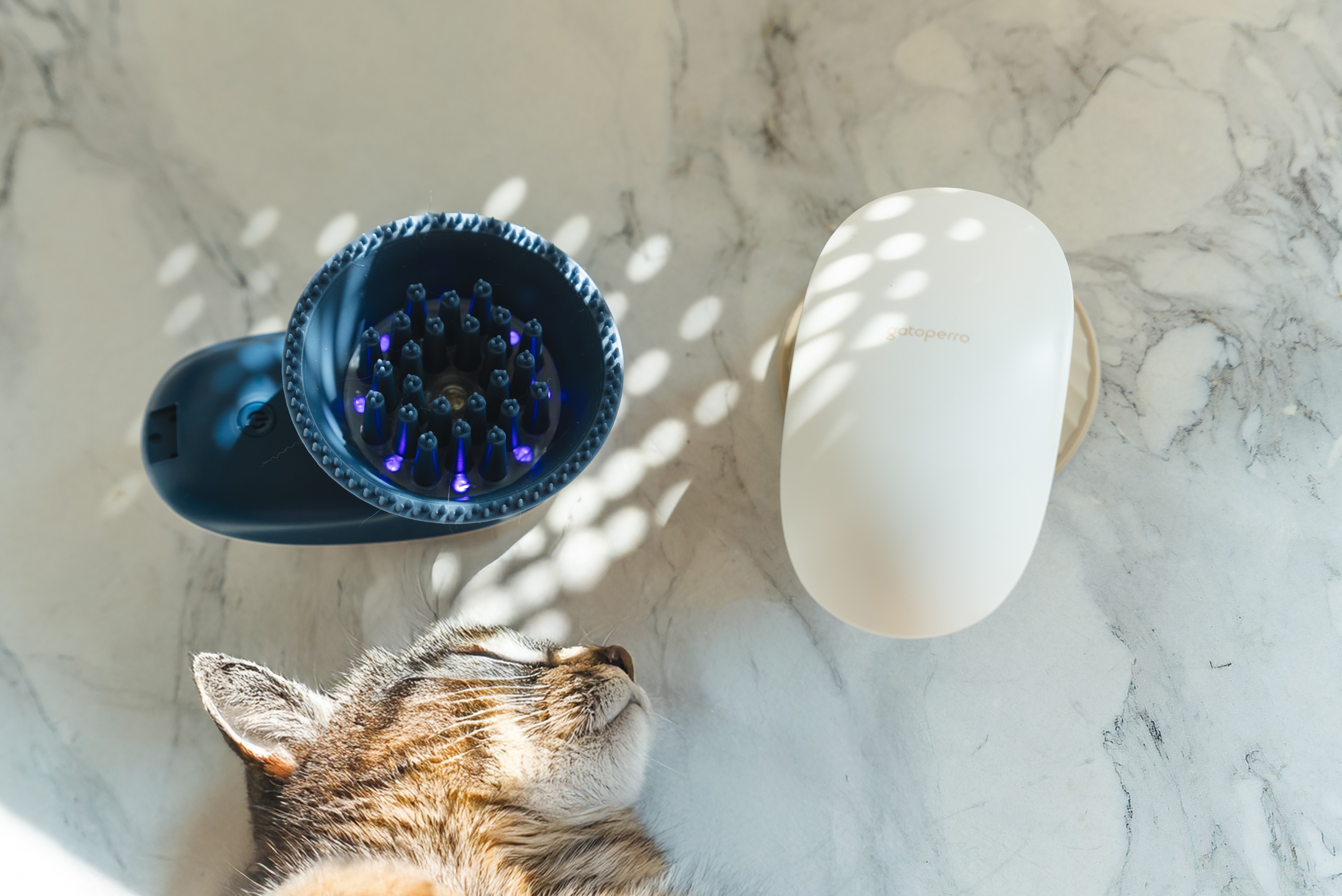 ac479af3a577c663e40e54a6428ed19f