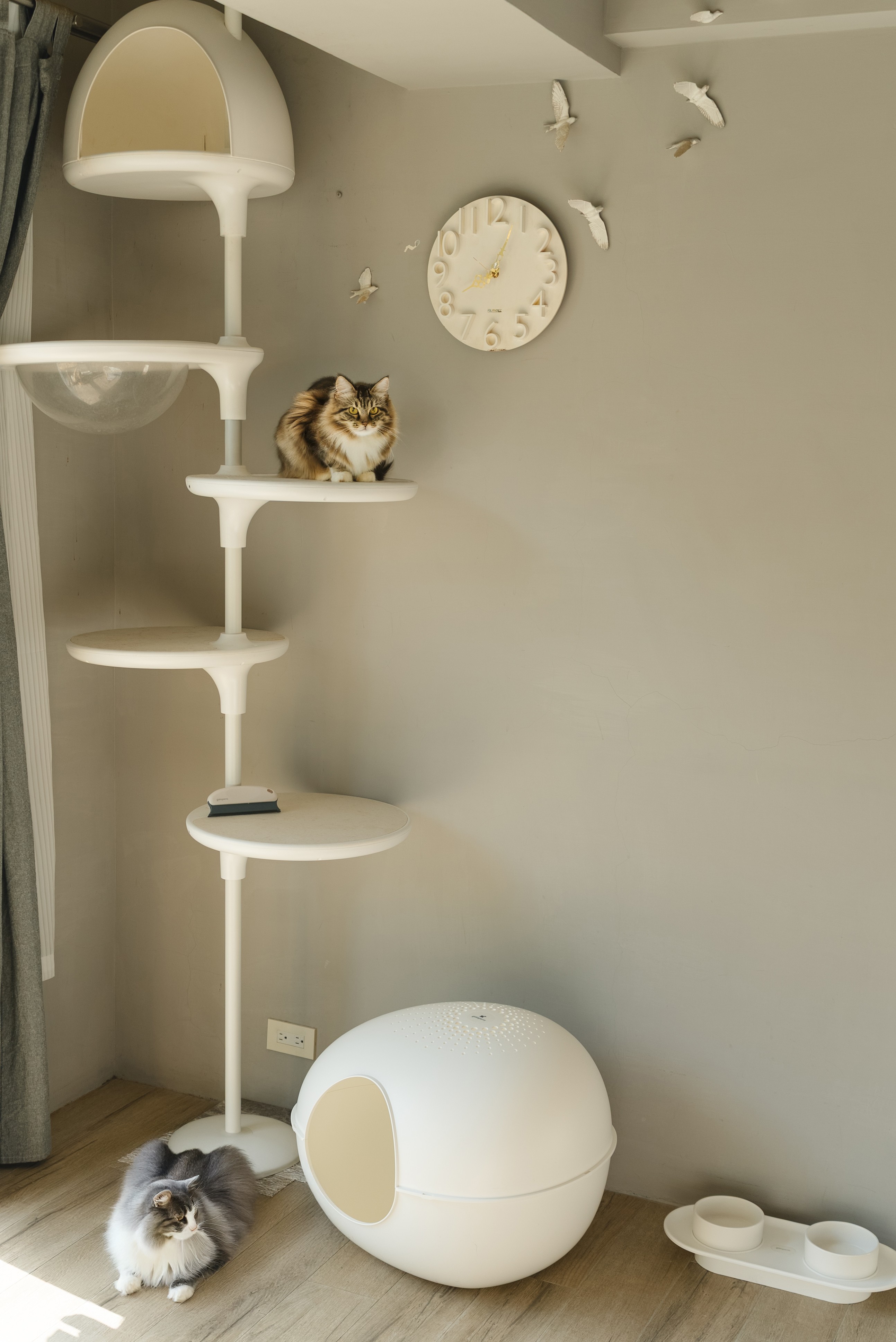 c7ba5b7919484852fe44b01fa8c762fb