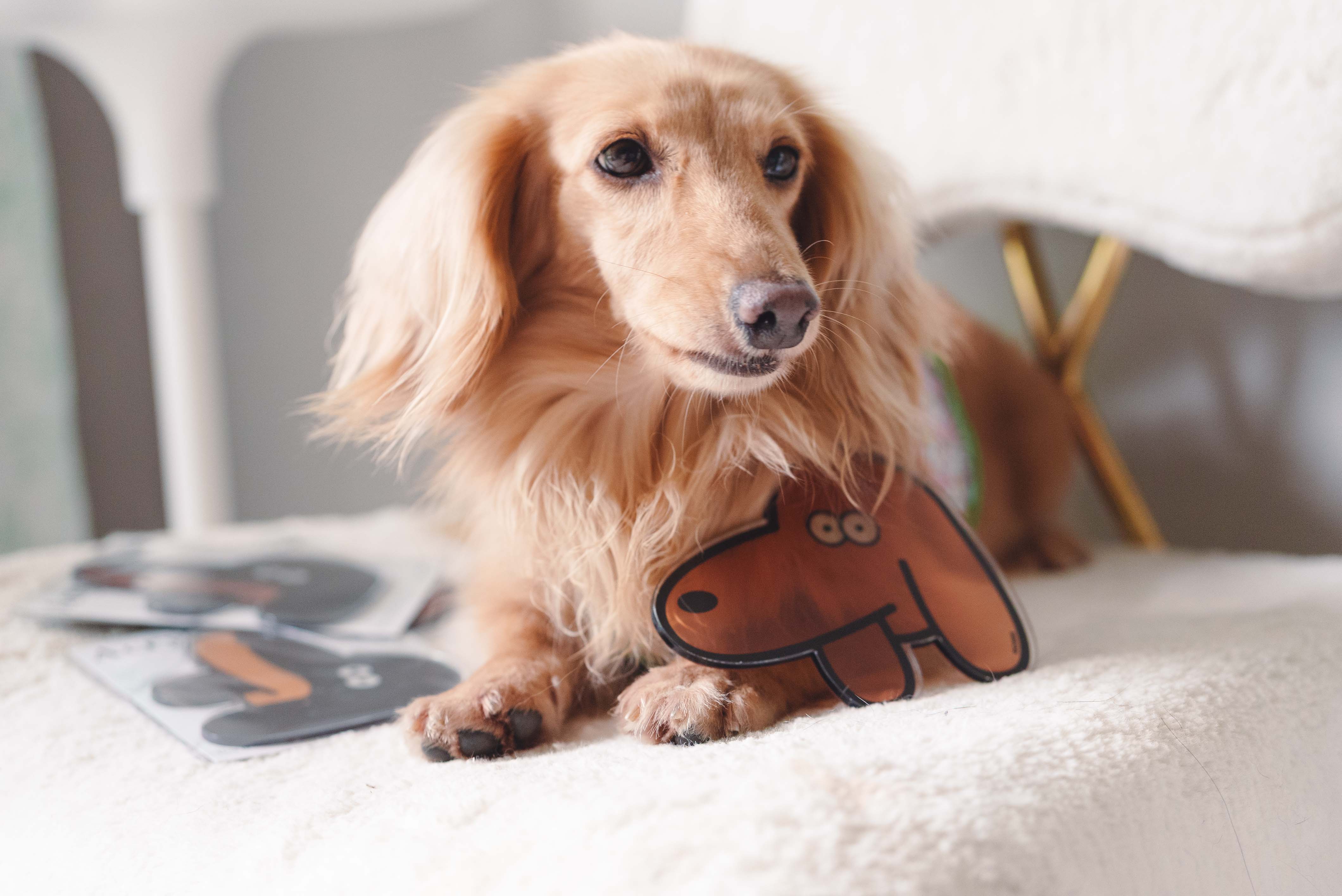 cbbbfdffd1d8eb915161c24c0f5e0cc6