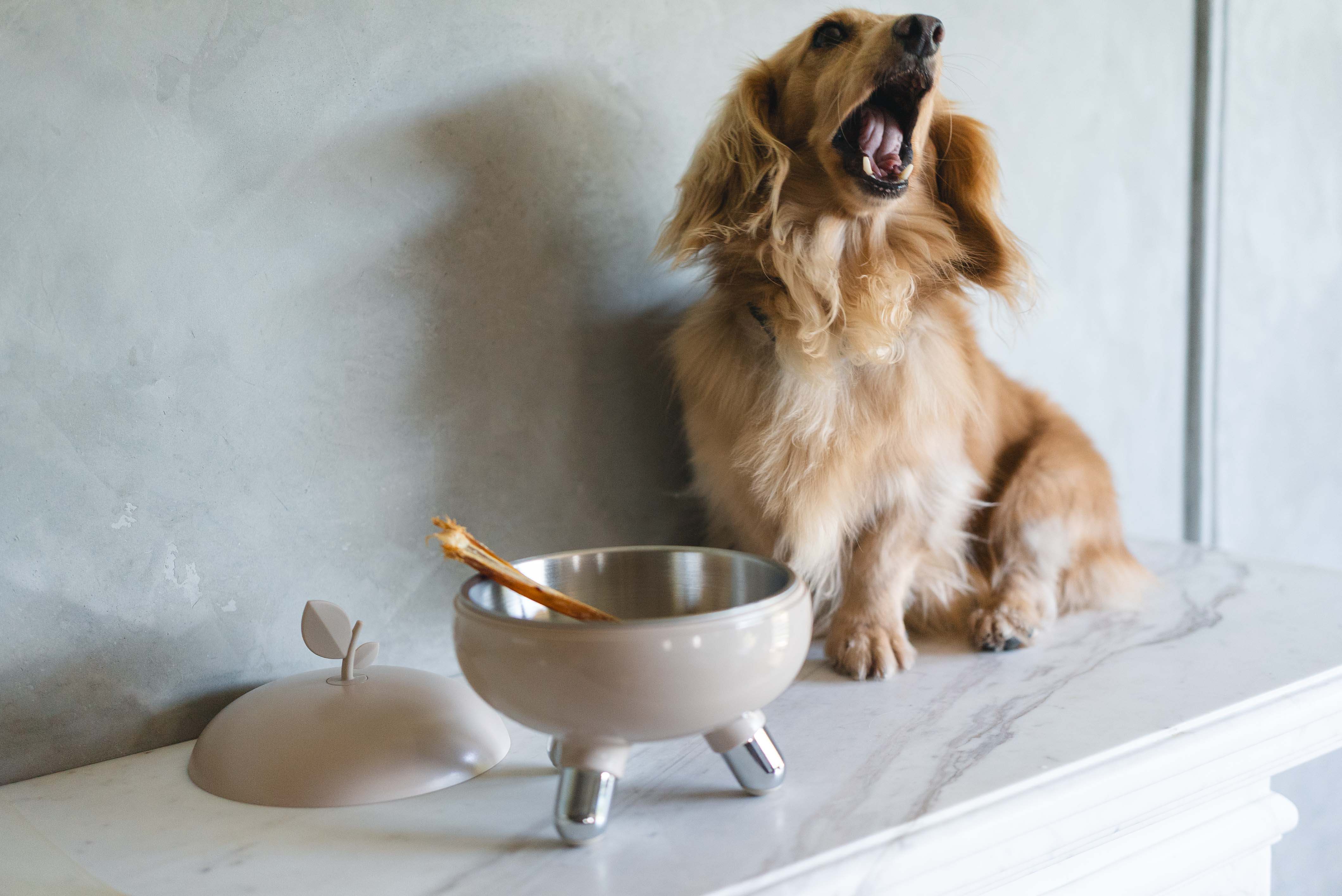 d2bbe1a6e3675854815ee69cc3ea8a01