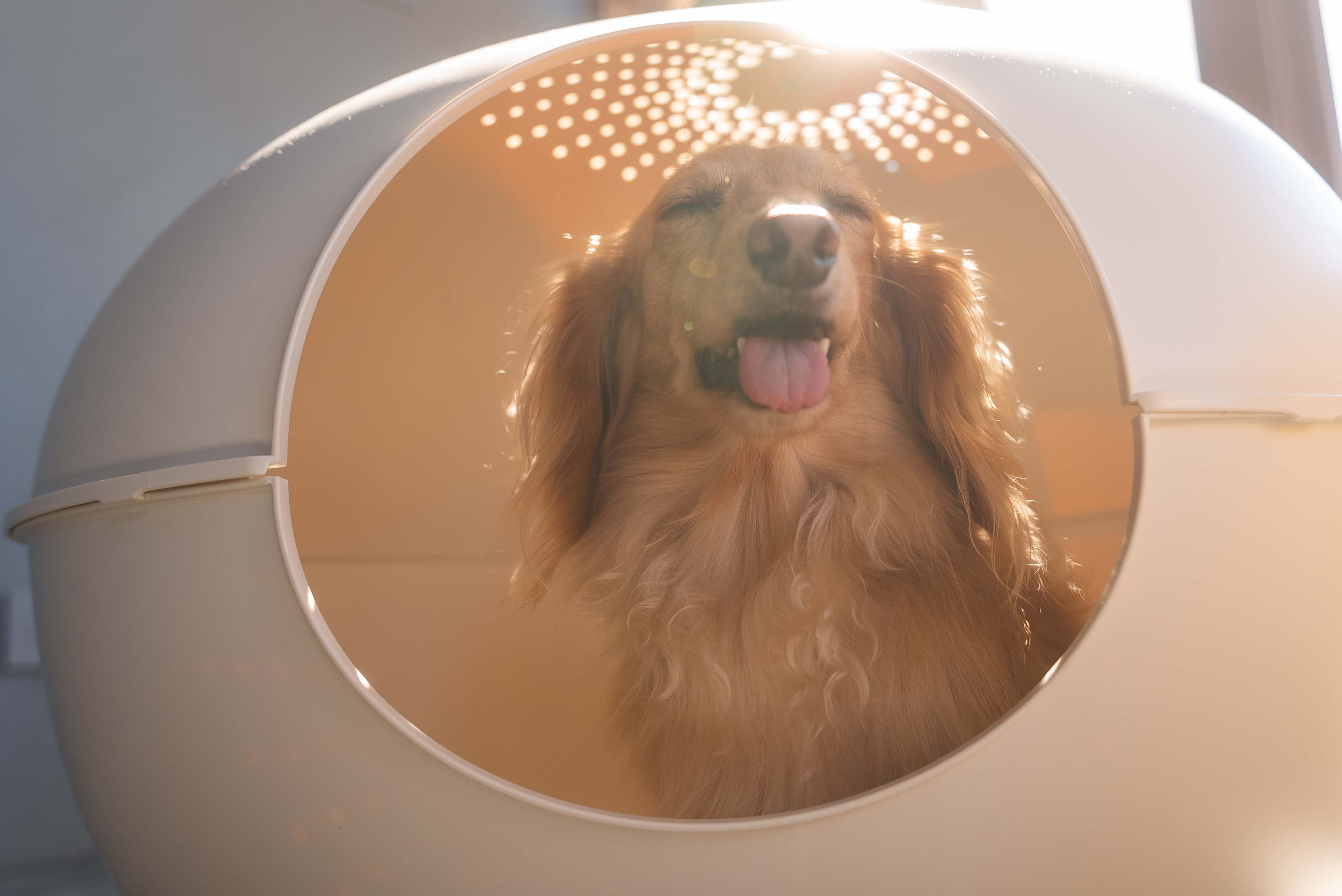 d2cf08733b0838455a8cffb0dfd14ed9