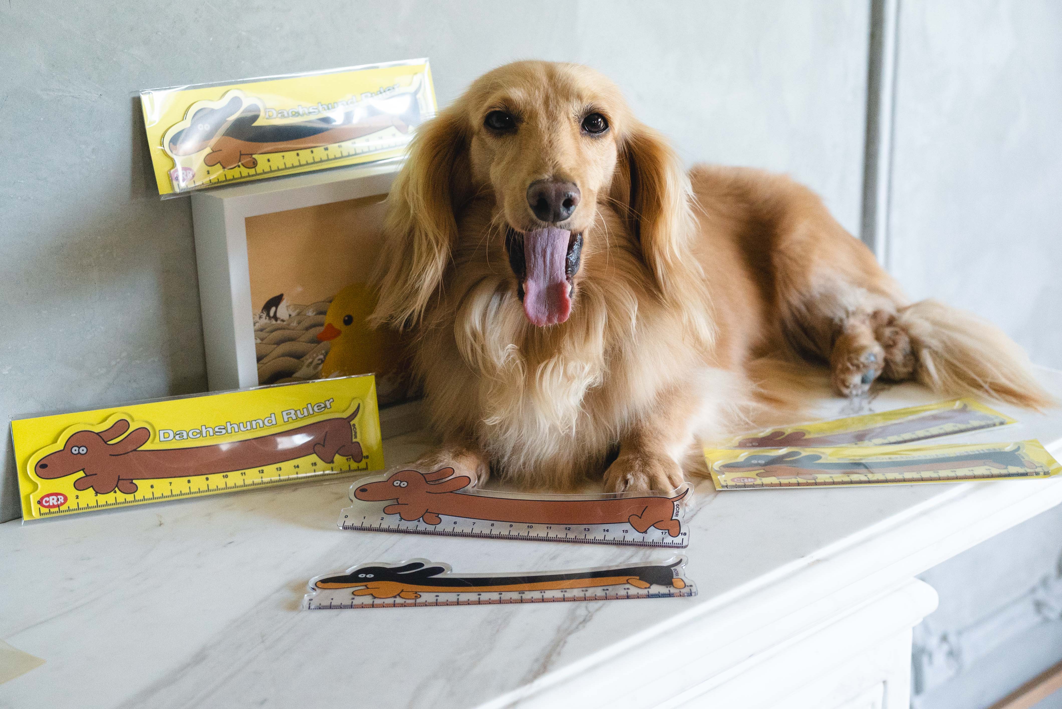 d77e9fa688c5374ae6c5c0de97751f3a