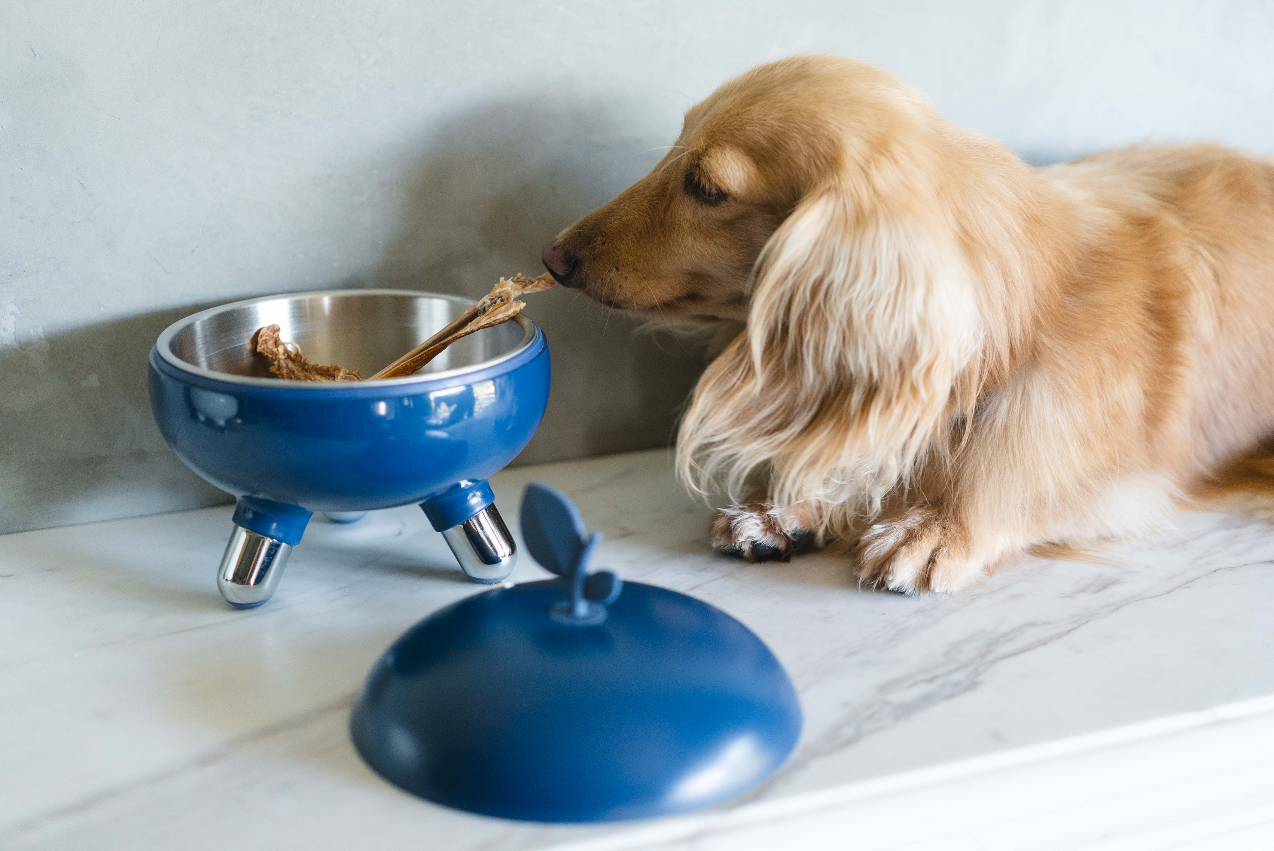 d9f7a22028959e4d34bed9eb275f4c89