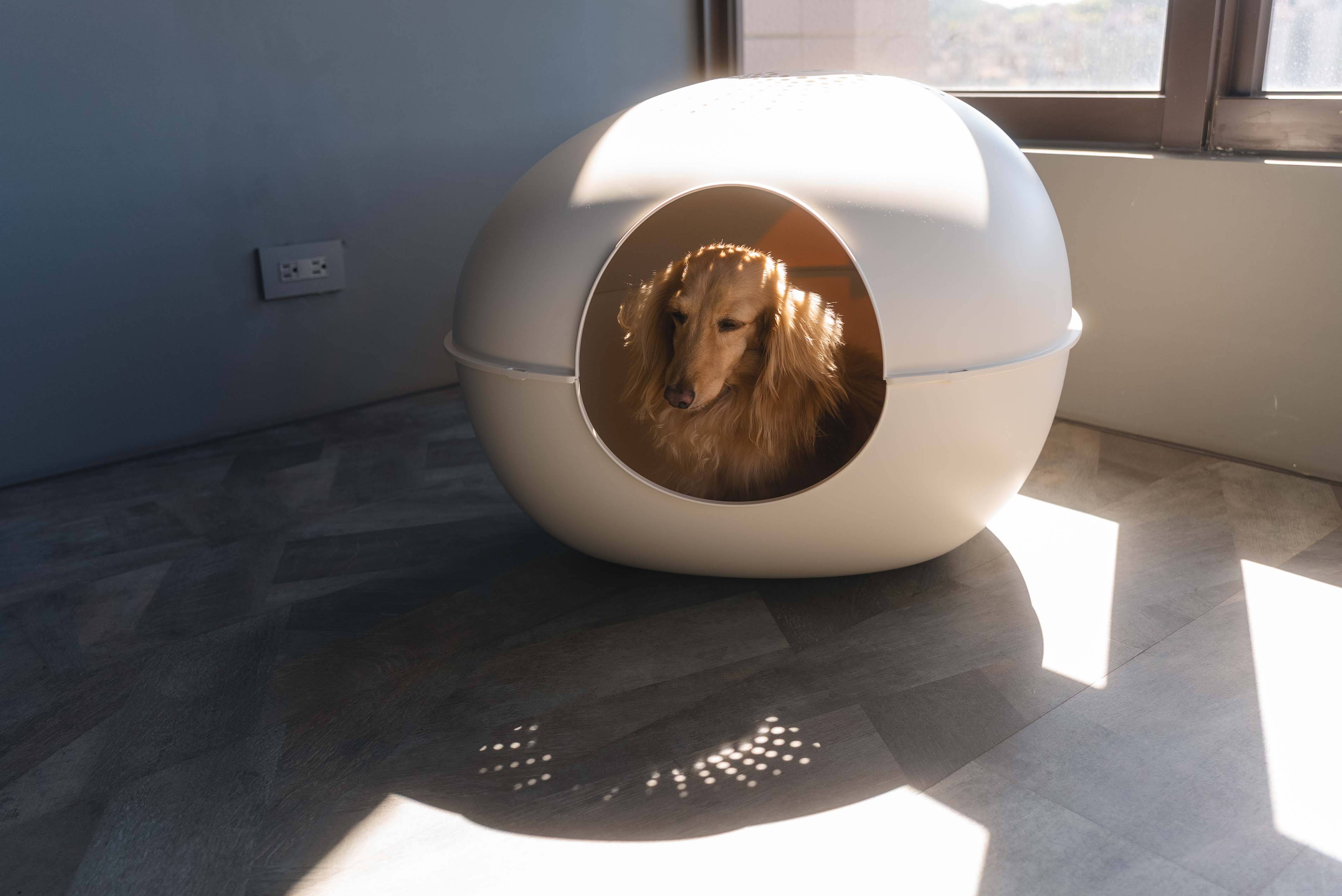 df23cebbd76550f0856ad3155119b751