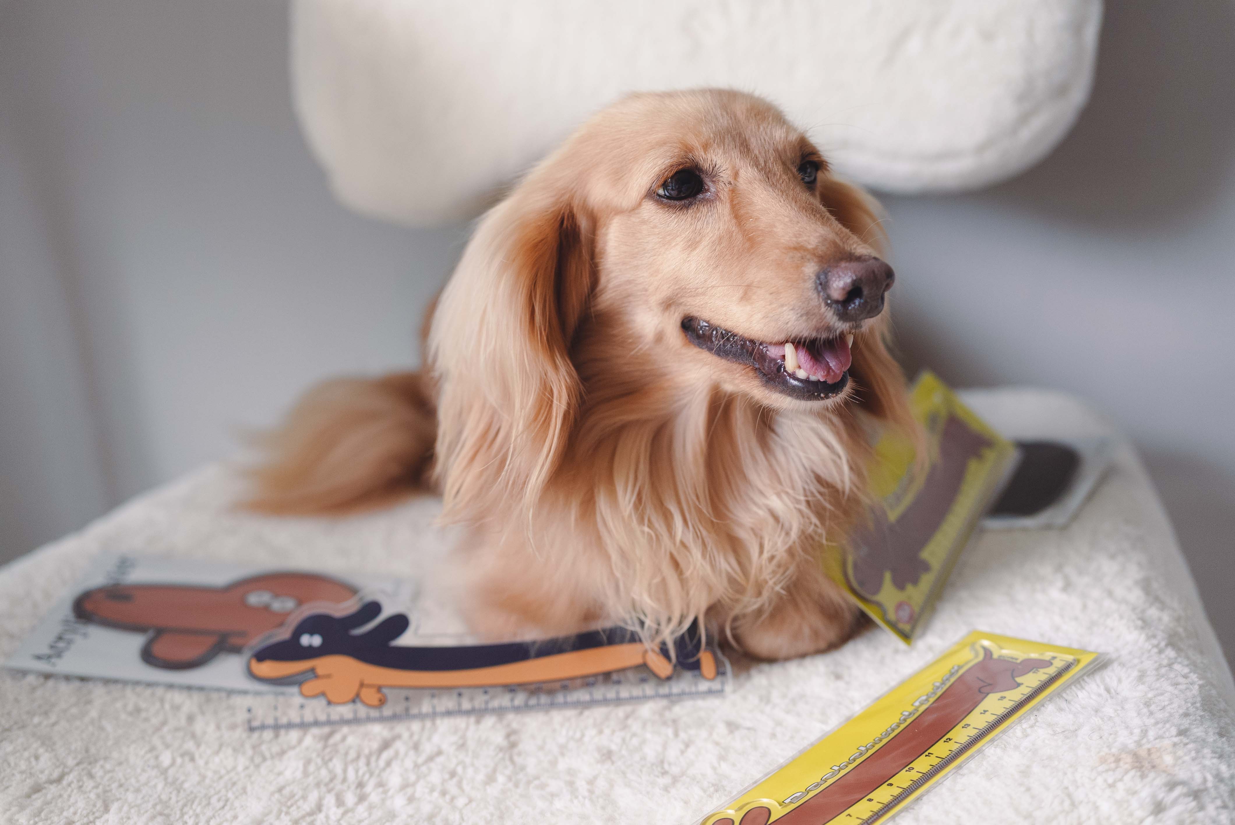 f8df115e10ca2d2f82873bf8e4fc217f