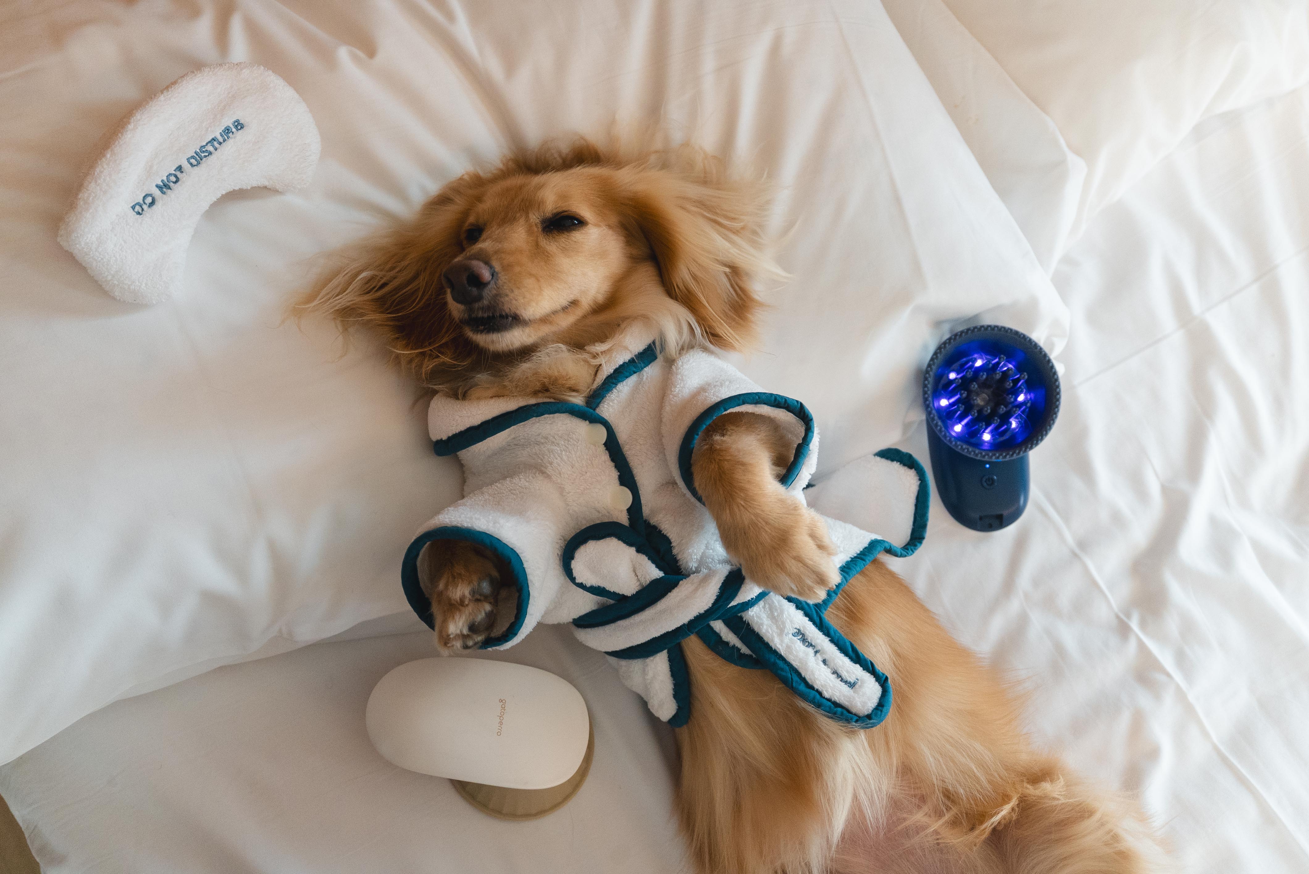 0d86c9b469ad3bdd59d33c2329bdf3b5 0d86c9b469ad3bdd59d33c2329bdf3b5