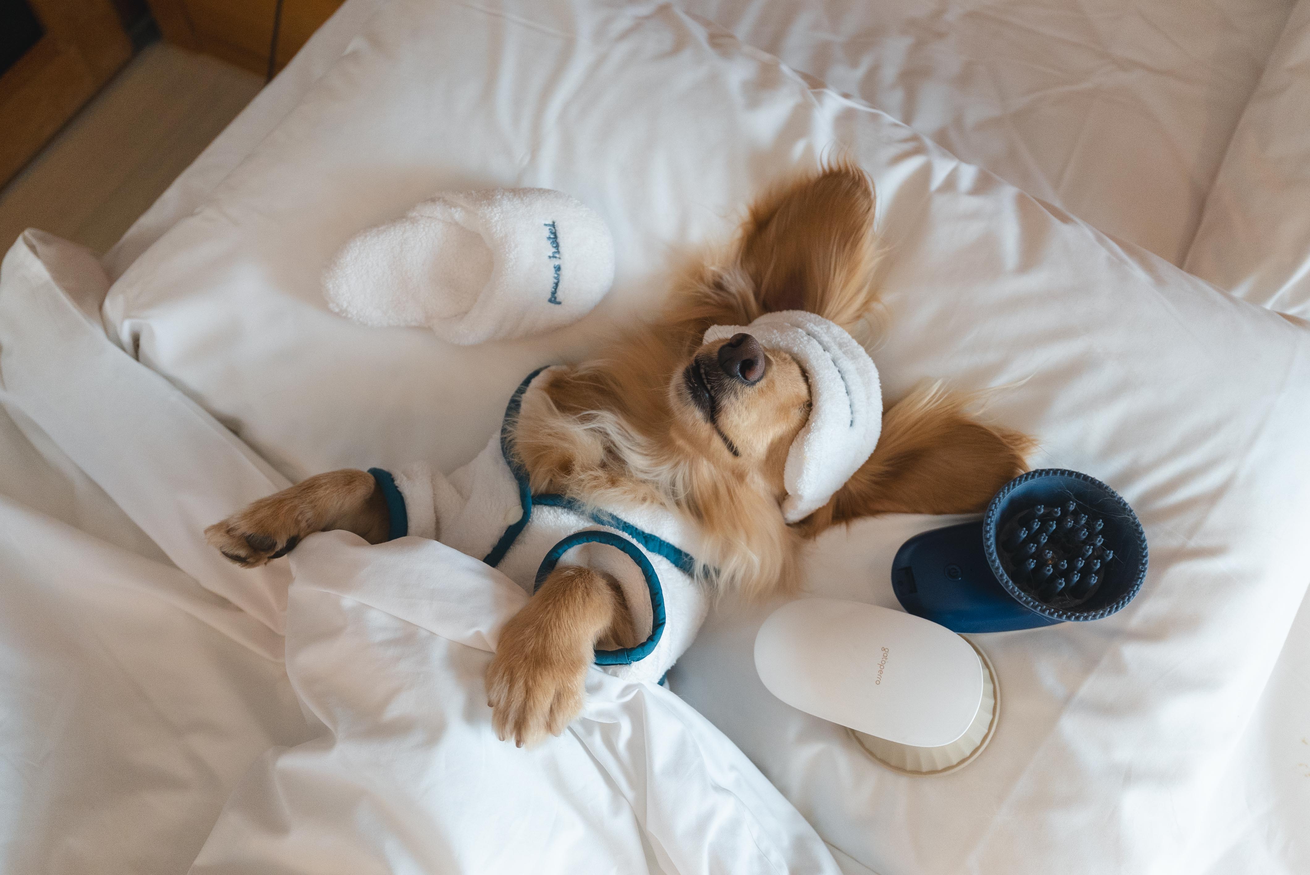 3260da68f531ee80a2d8d1e4ec1d8ed1 3260da68f531ee80a2d8d1e4ec1d8ed1